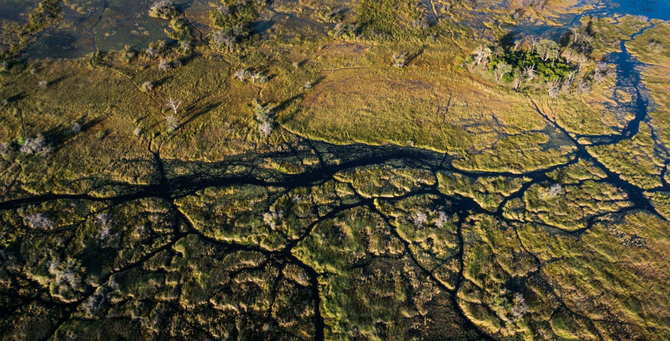 El impresionante delta del Okavango