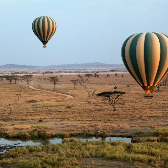 safari por africa precios