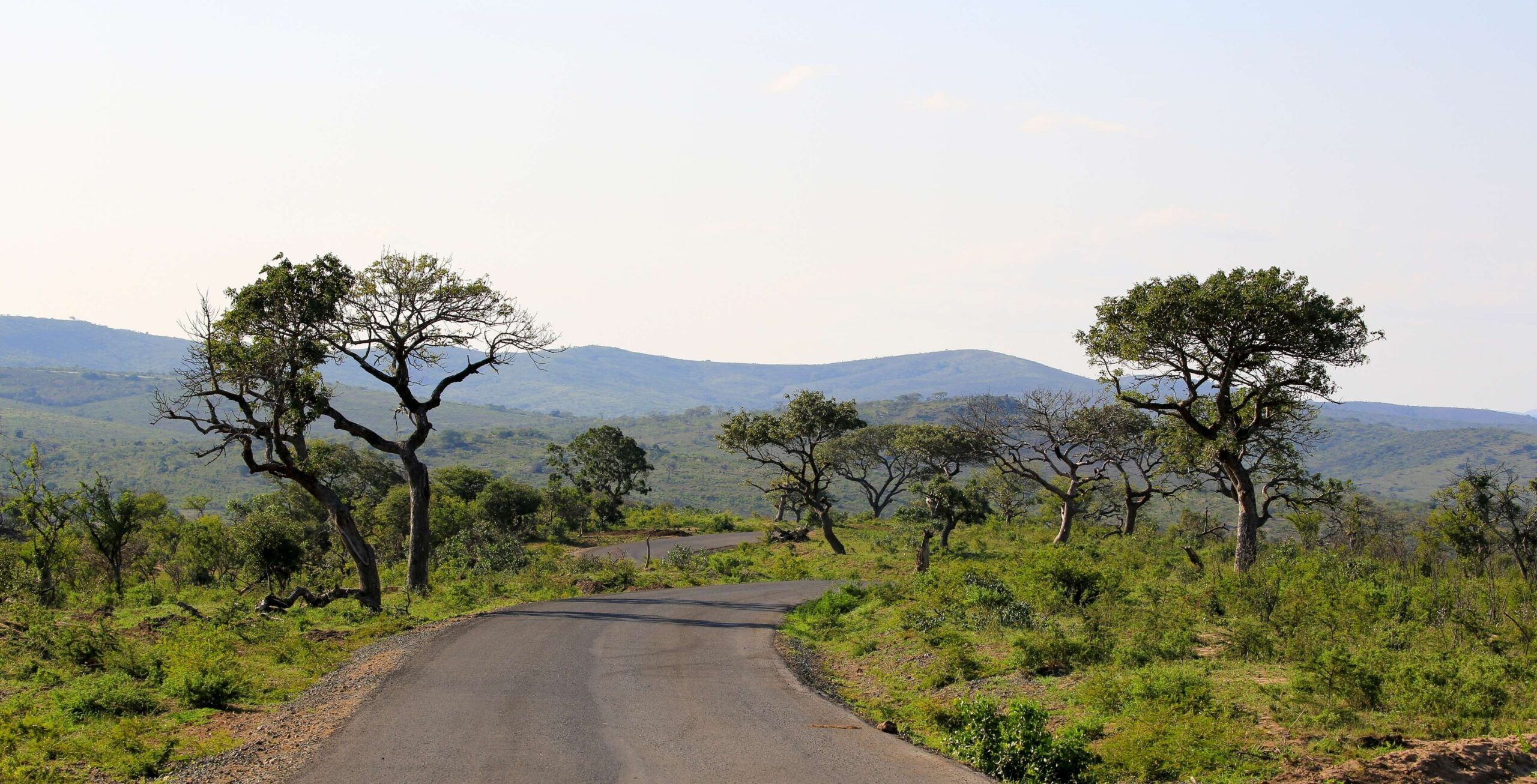 Trayecto en coche del sur de Drakensberg al parque Hluhluwe-iMfolozi