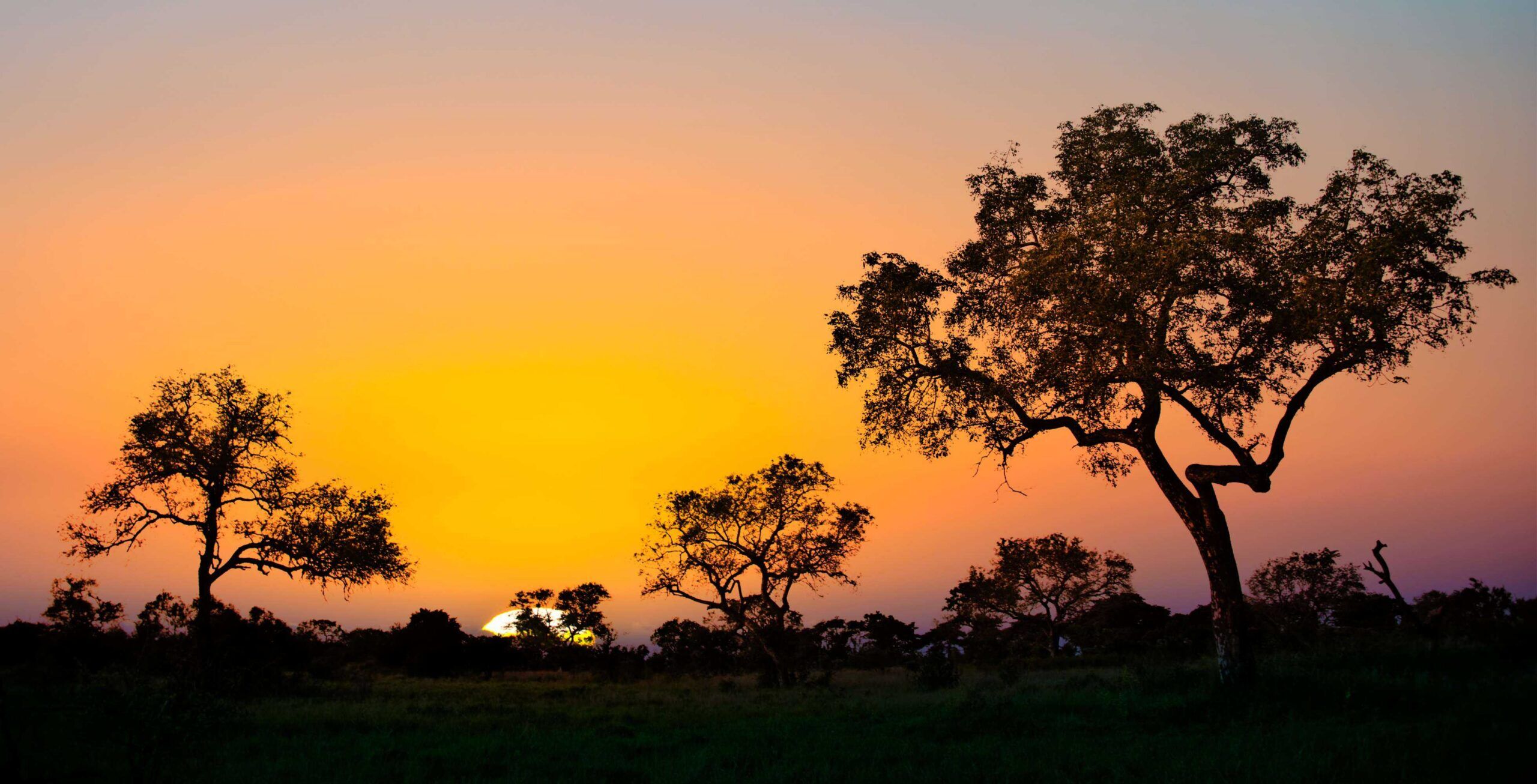 Trayecto en coche de Hazyview al Parque Nacional Kruger – Paul Kruger Gate