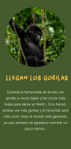 Llegan los gorilas