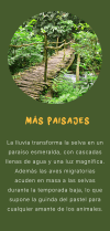 Mas paisajes