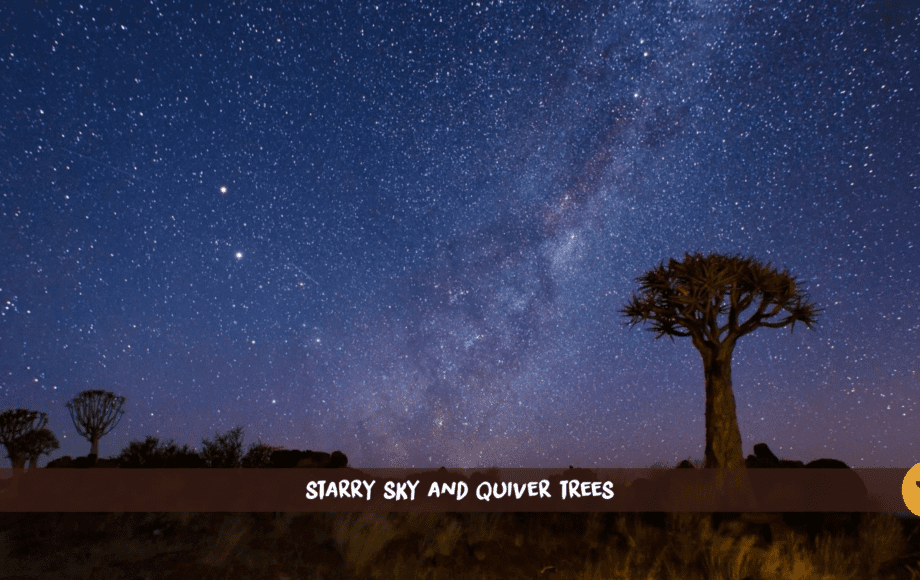 Cielo nocturno de Namibia con la Vía Láctea y árboles temblorosos en primer plano