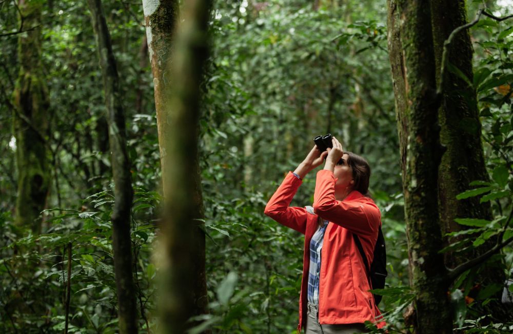 Turista en el bosque de Kibale