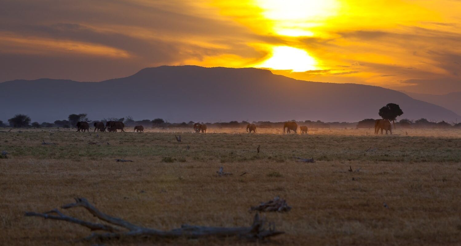 Atardecer en el Parque Nacional de Tsavo East