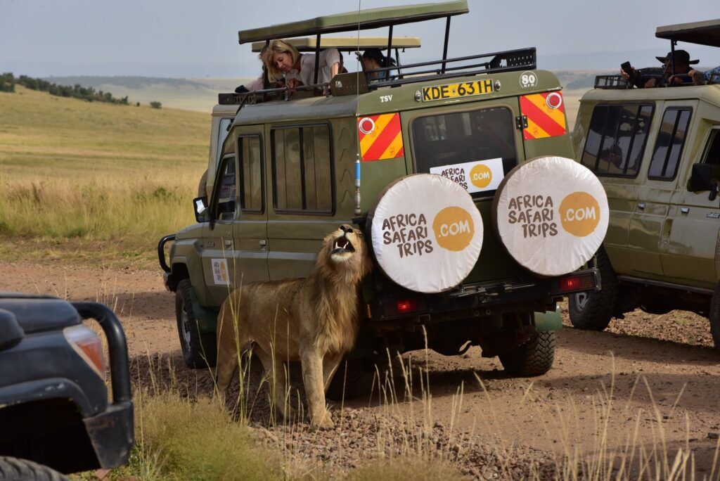 vehículo de Safari Africano