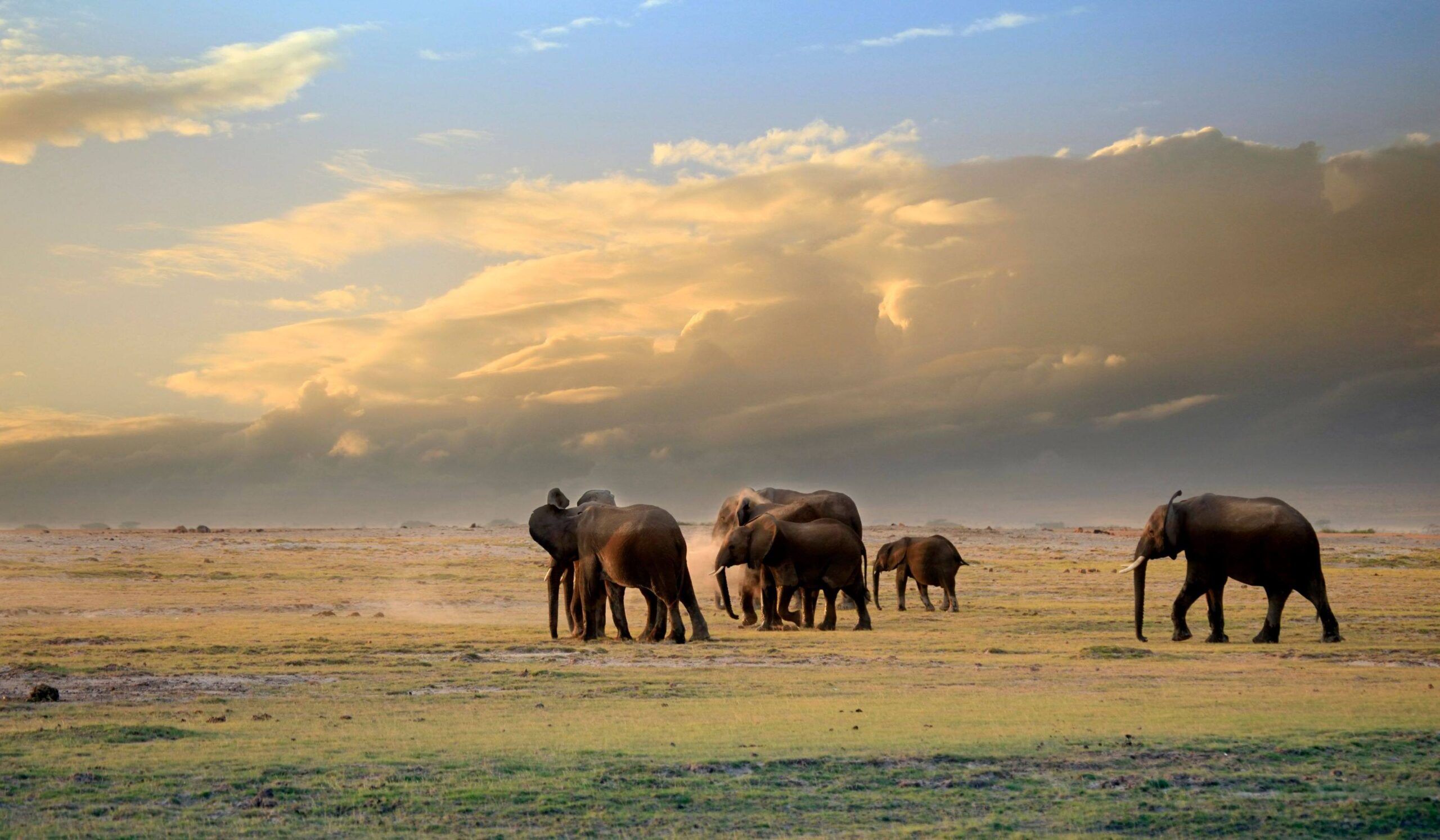 Parque Nacional de Amboseli