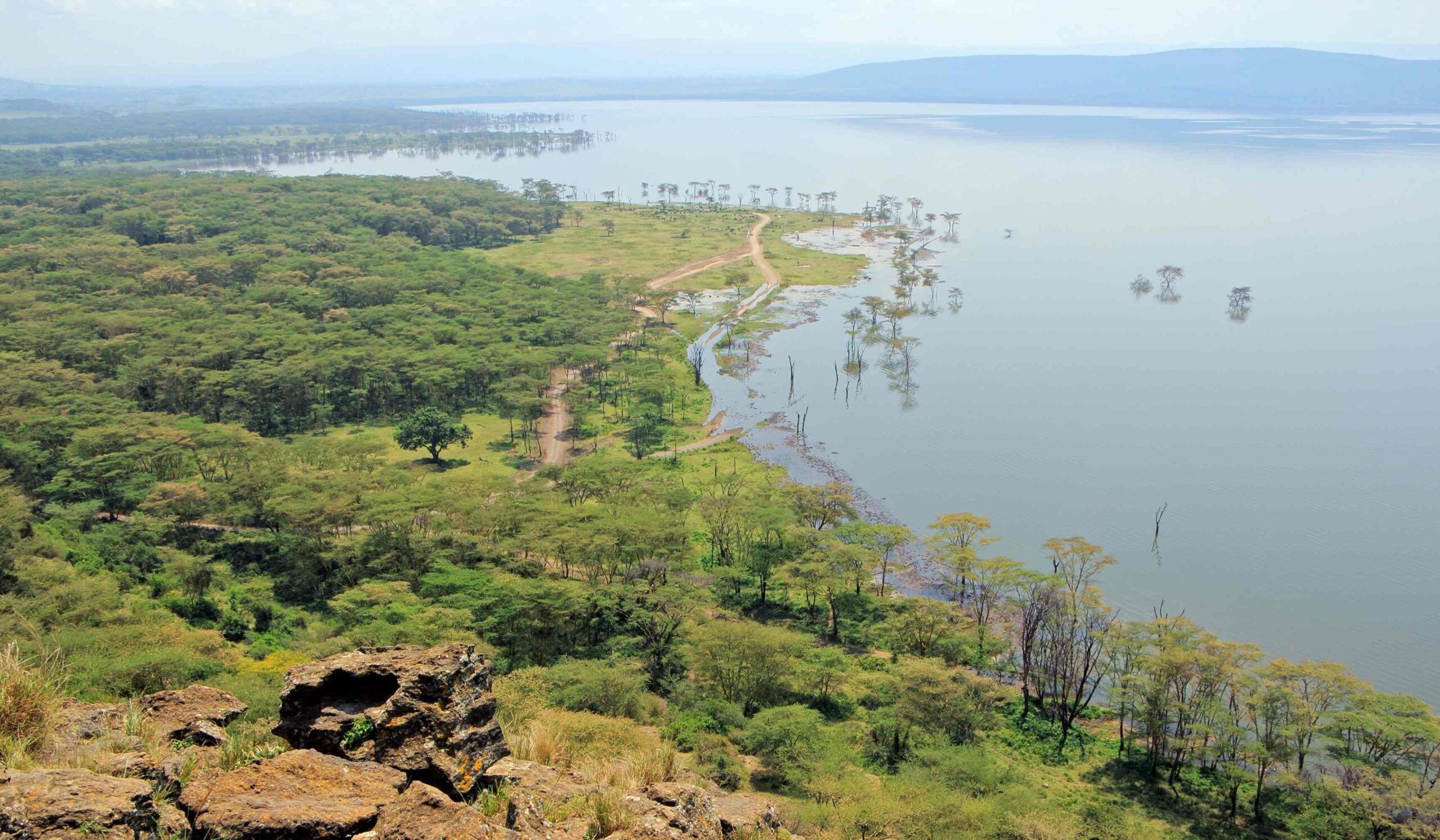 Parque Nacional del Lago Nakuru