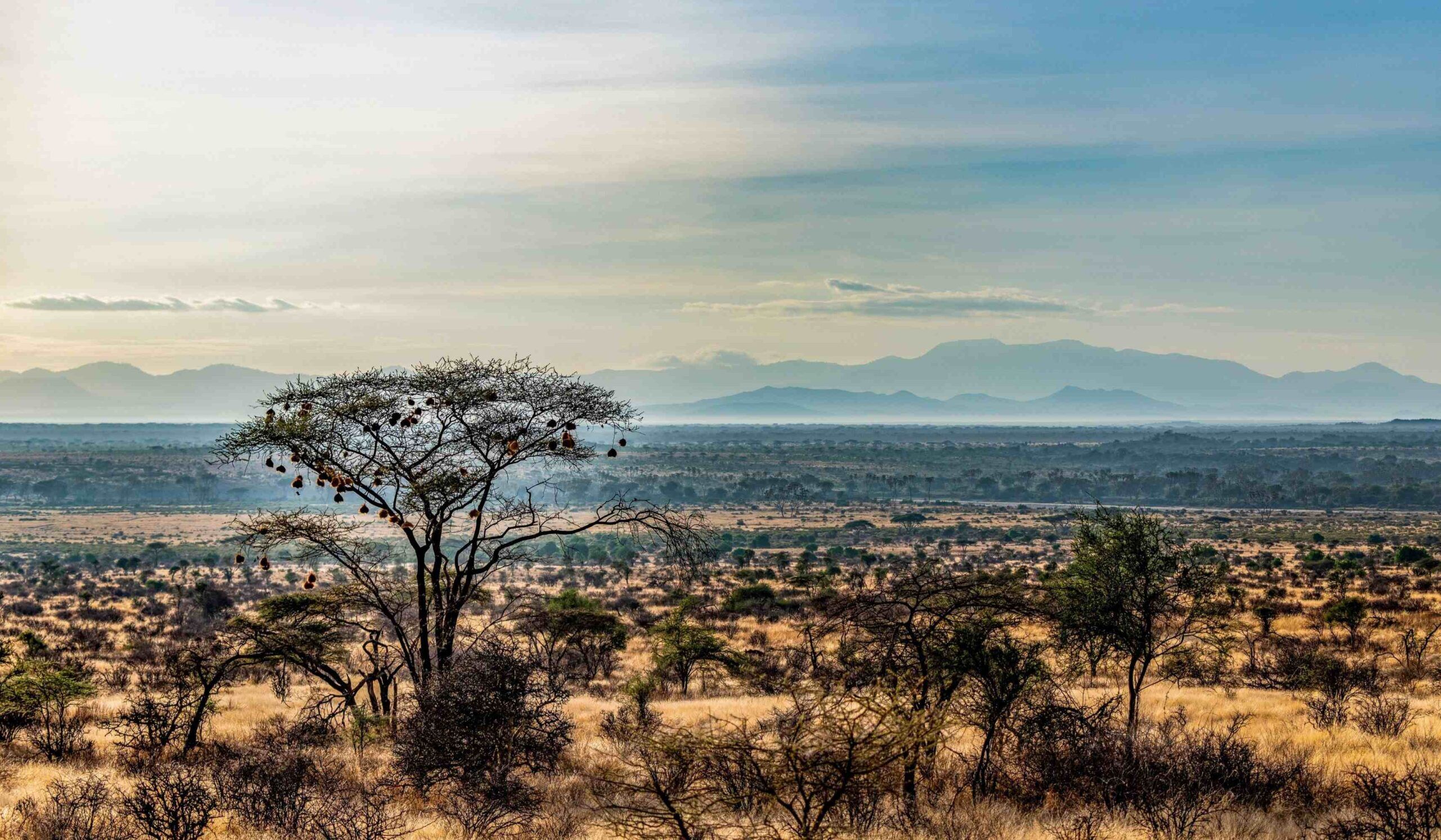 Reserva Nacional de Samburu