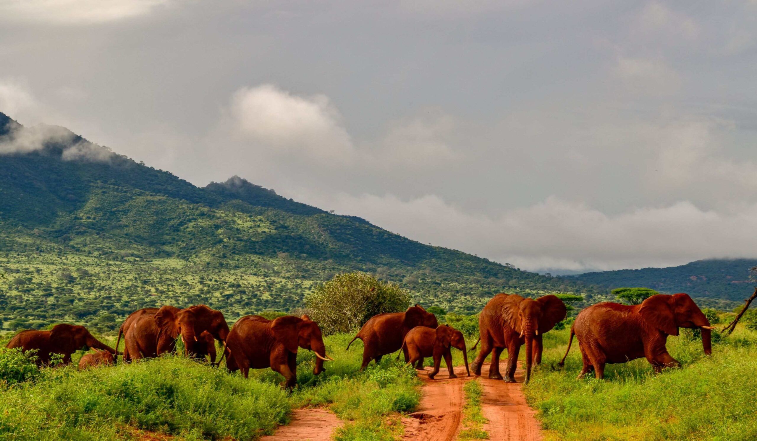 Parque Nacional de Tsavo West