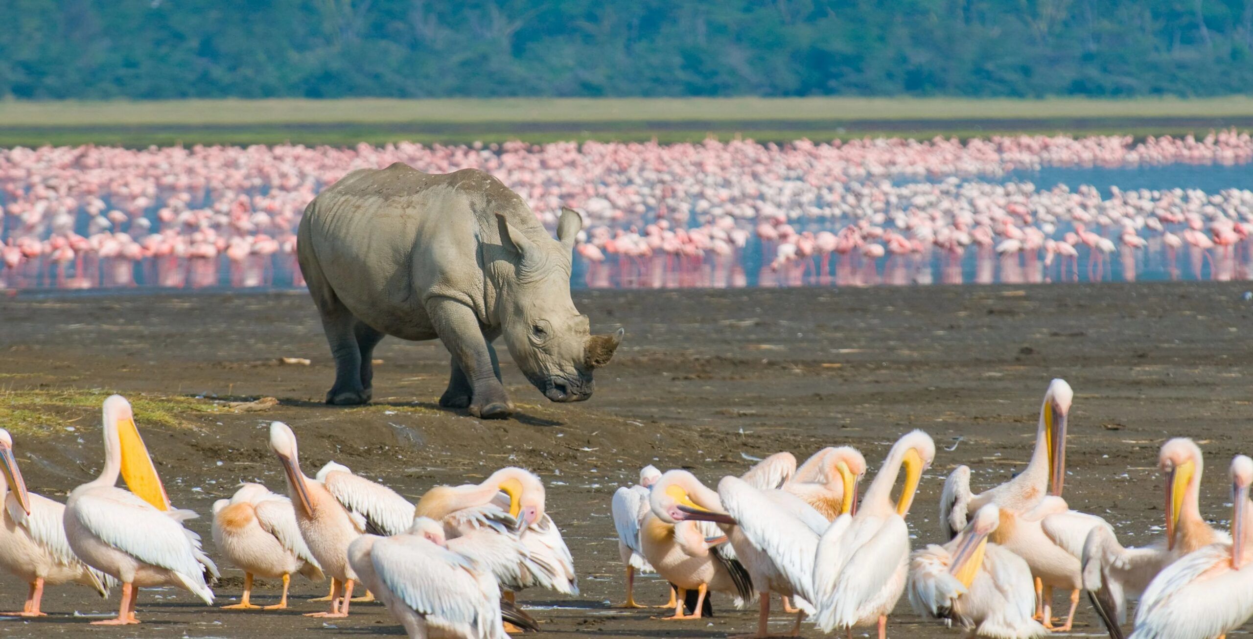 Parque Nacional del Lago Nakuru
