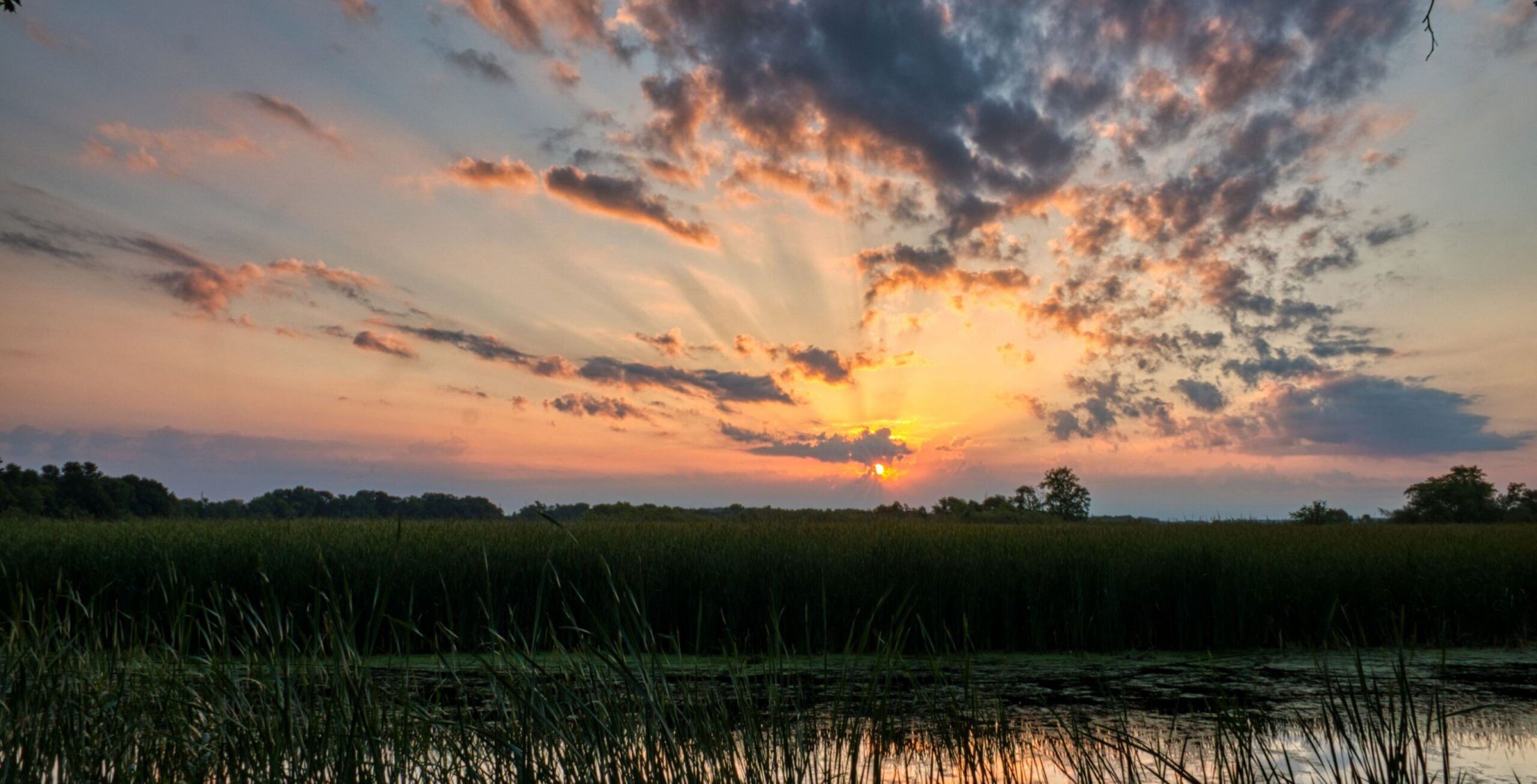 Vuelo de la Concesión Comunitaria de Khwai a los Pantanos de Savuti
