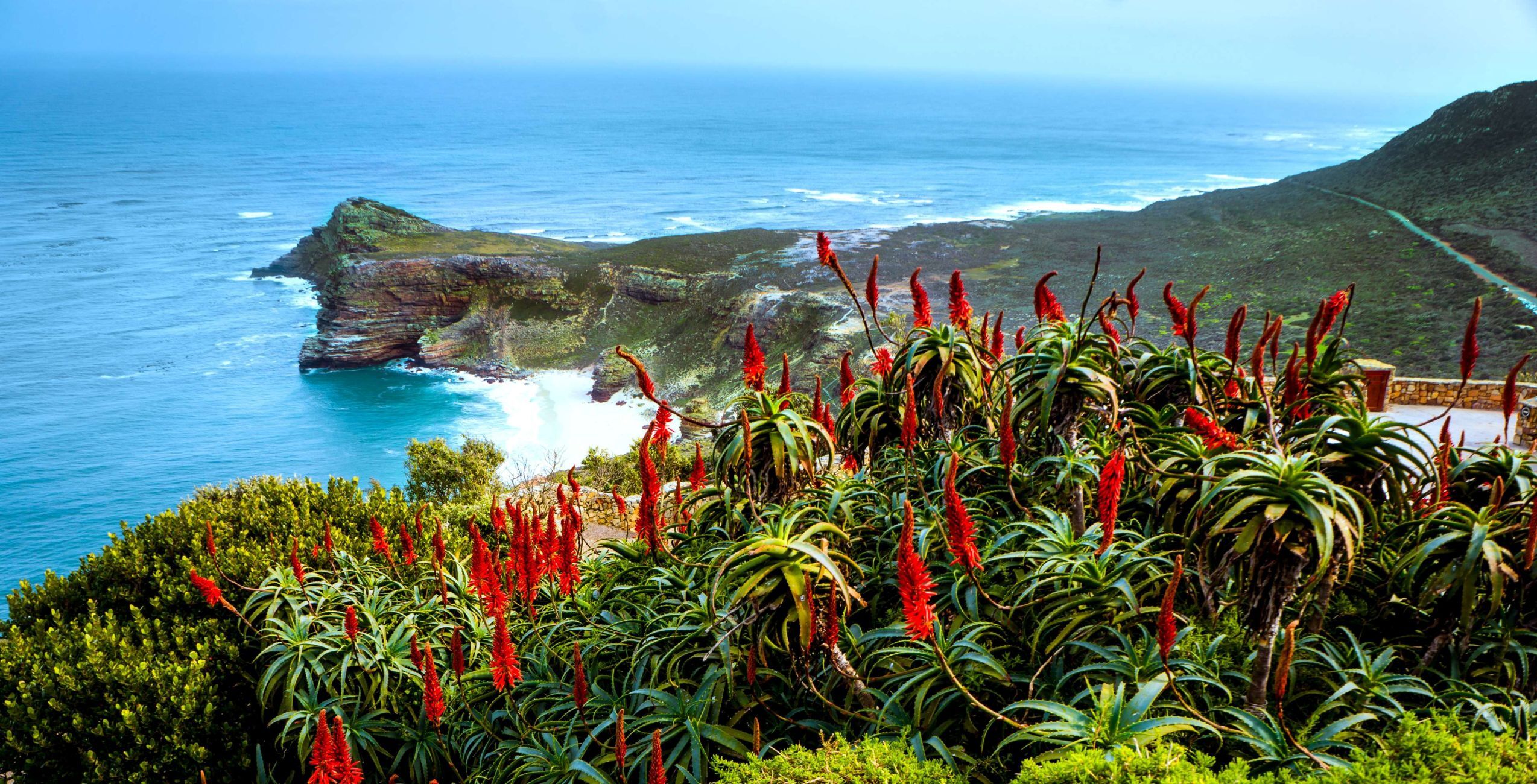 Visita el Cabo de Buena Esperanza y el Cape Point en el Parque Nacional Montaña de la Mesa