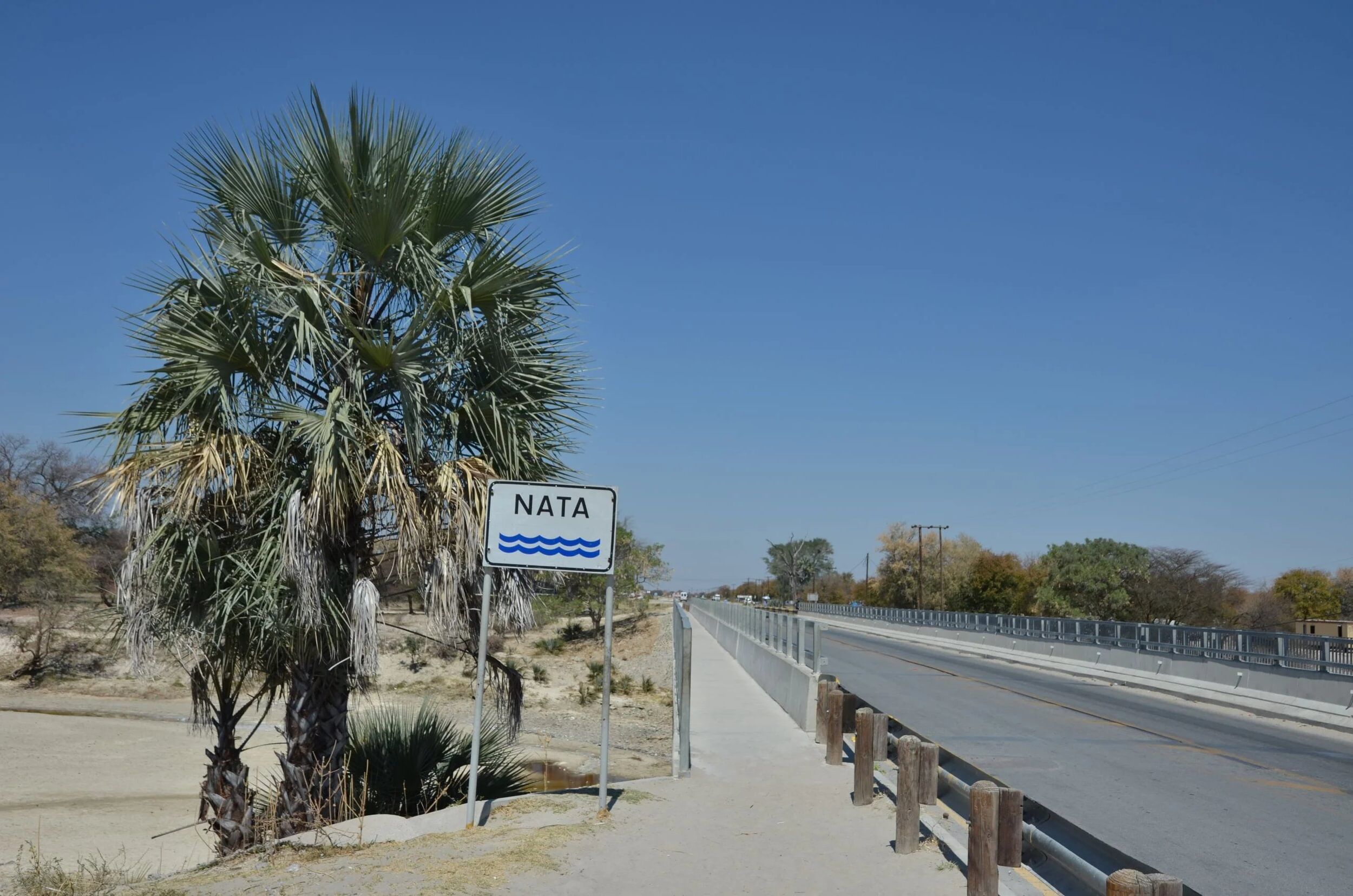 Conducir desde el río Boteti hasta Nata.