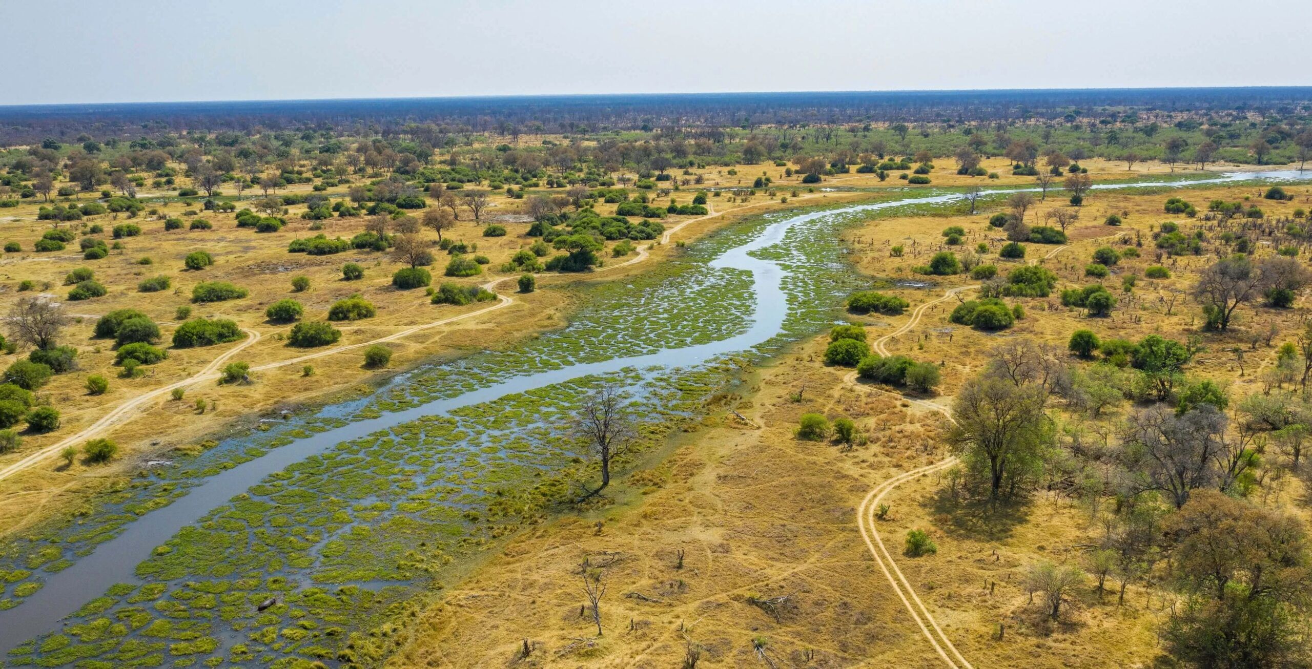 Vuelo desde la Reserva de Caza Moremi hasta la Concesión de la Comunidad Khwai.