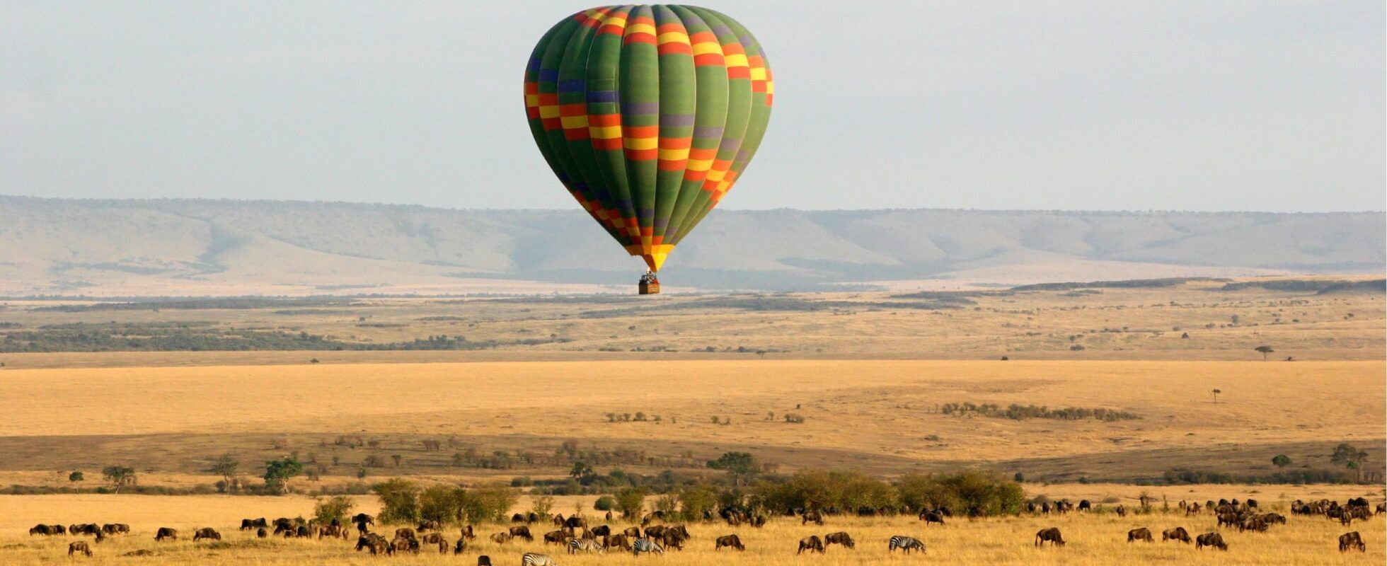 Safari en globo aerostático