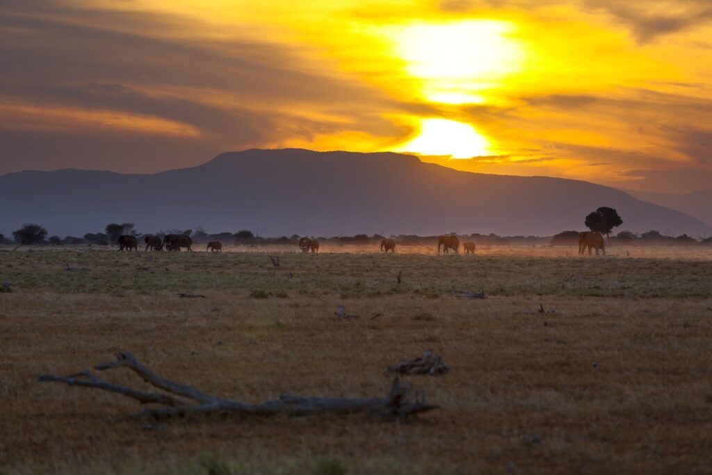 Atardecer en el Parque Nacional de Tsavo East