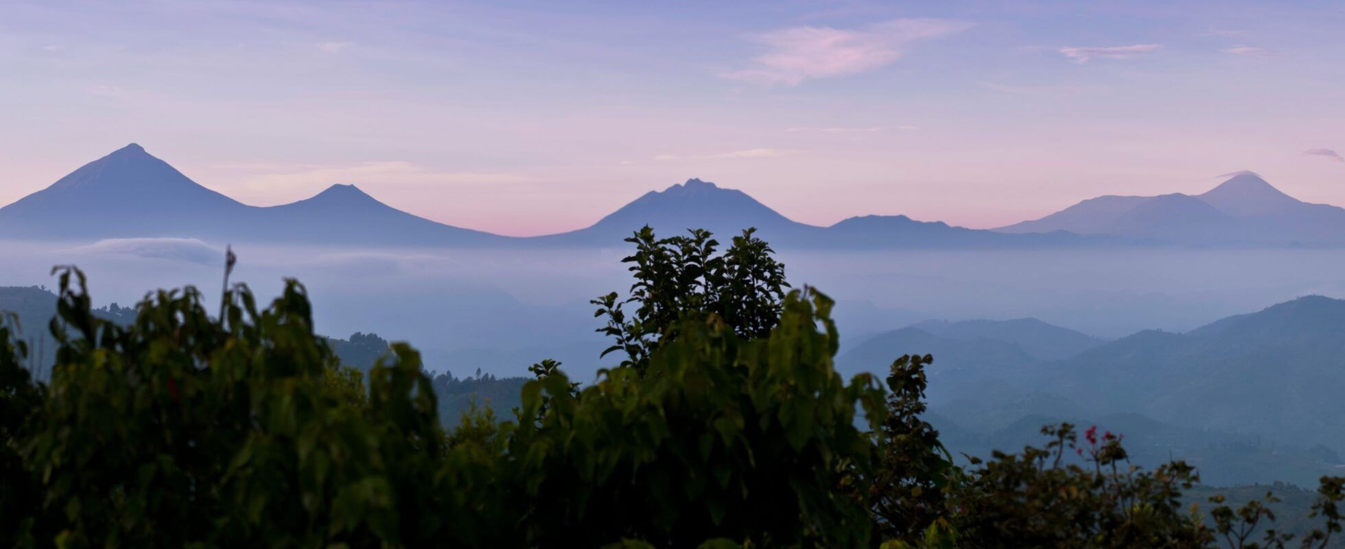 Parque nacional del Gorila de Mgahinga