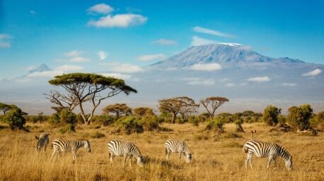 Sabana del Parque Nacional de Amboseli