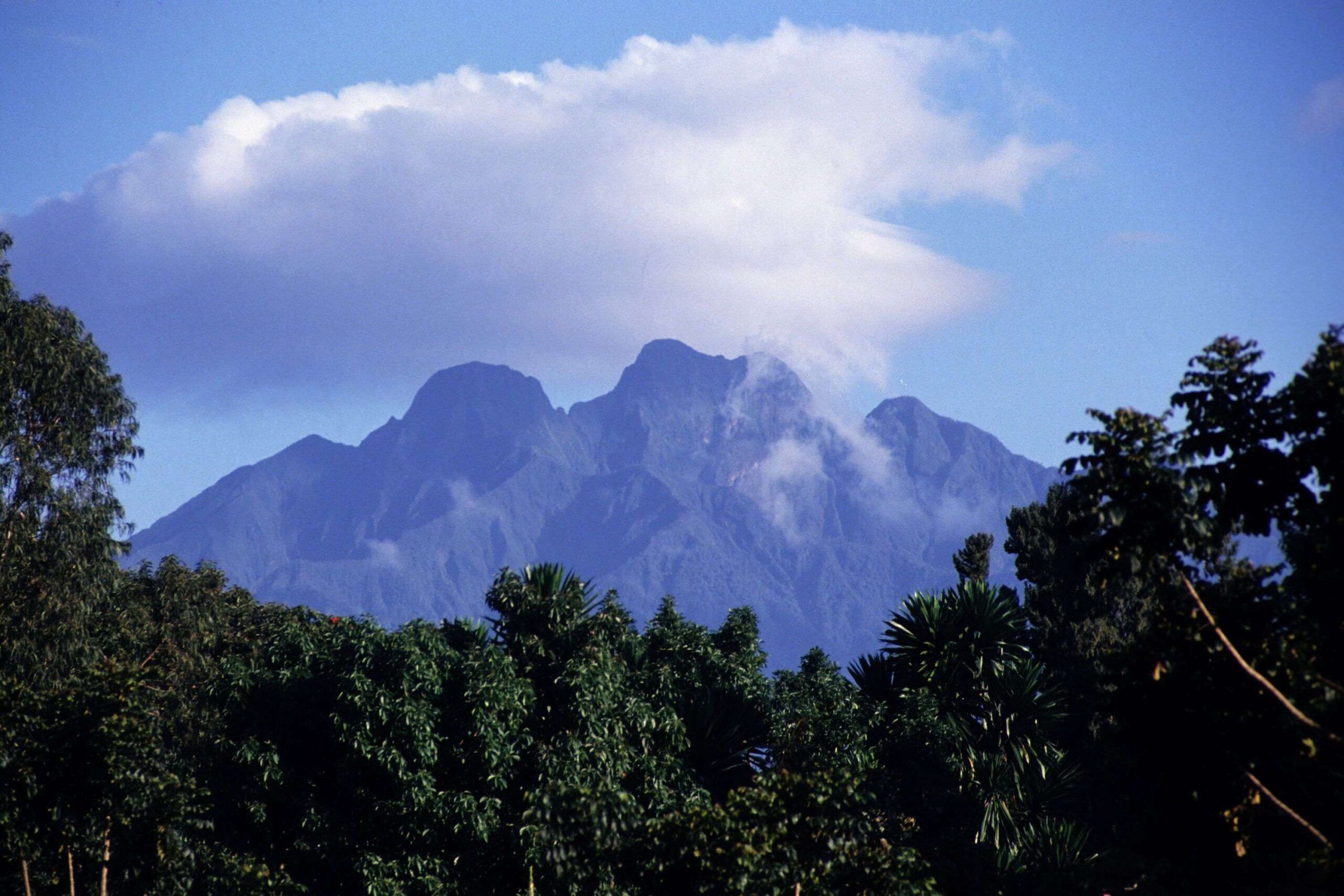 Senderismo en el volcán Sabinyo en el Parque Nacional del Gorila de Mgahinga