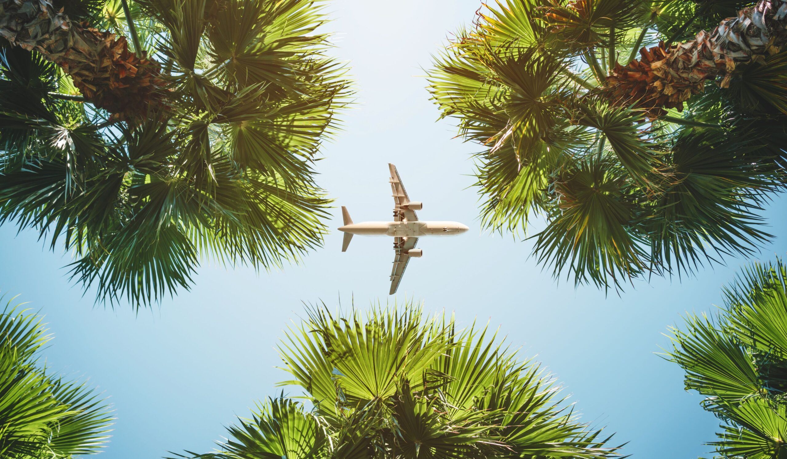 Vuelo a Diani Beach (incluido en el precio)