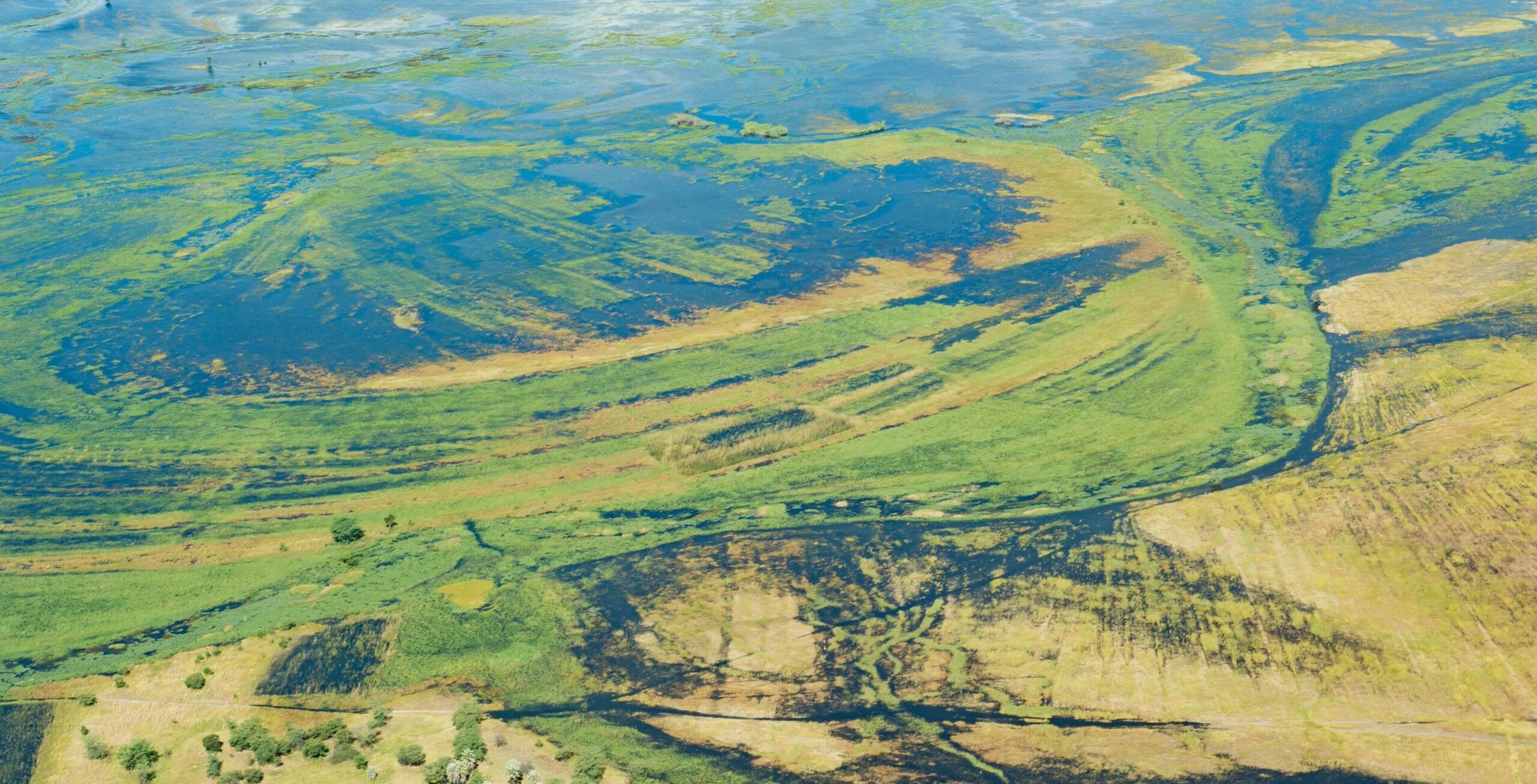 Vuelo de Savuti a Kasane