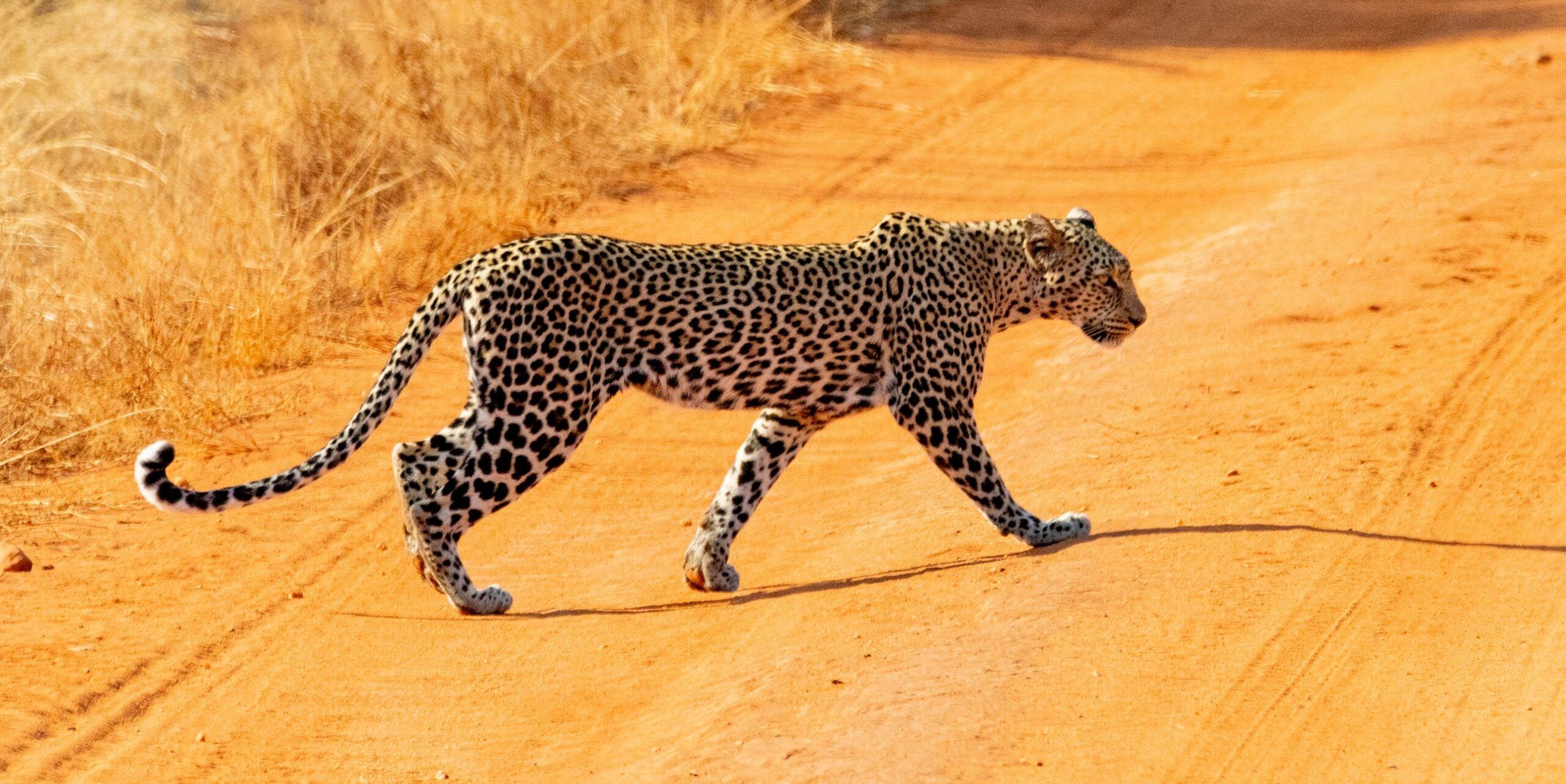 Parque Nacional de Tsavo West