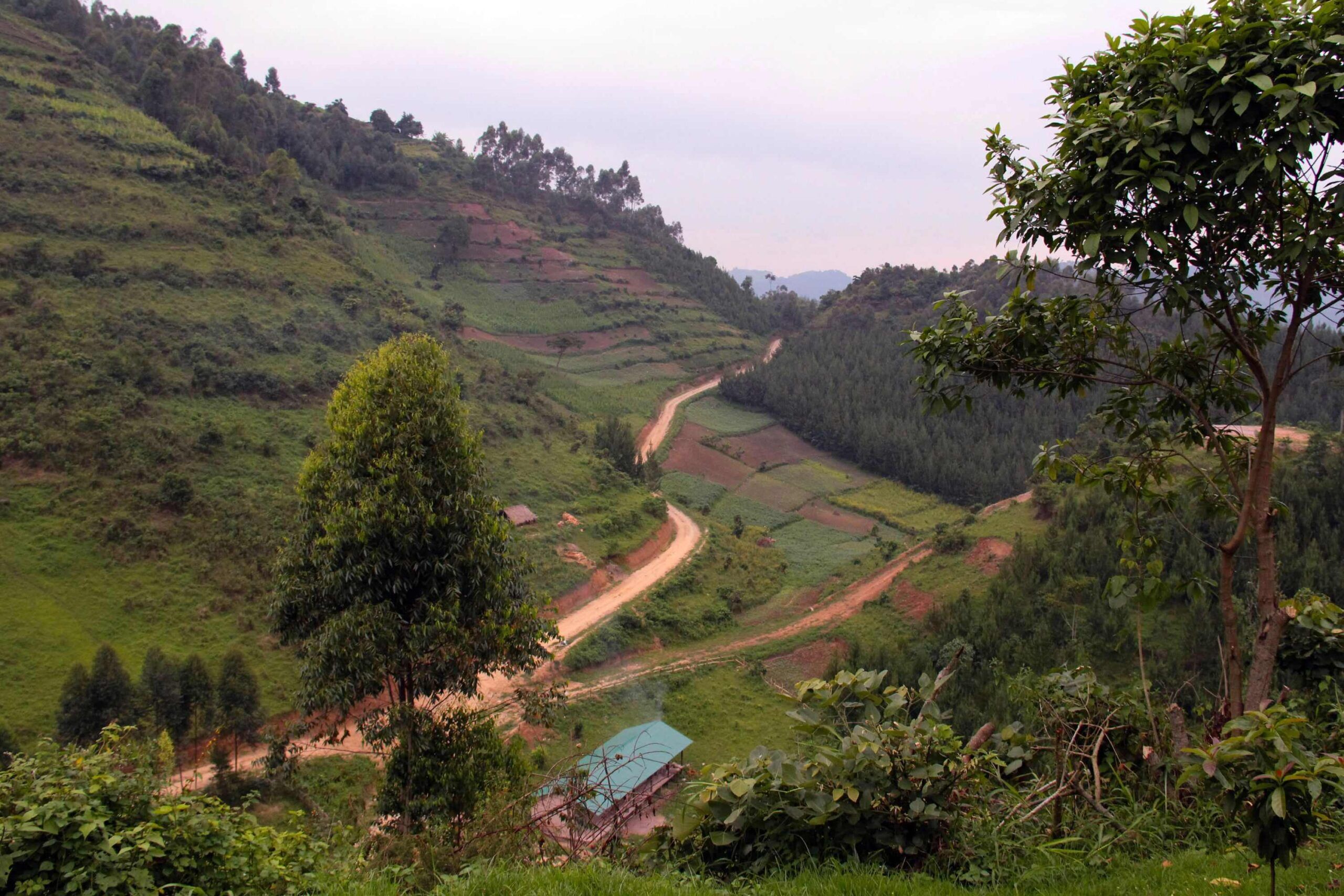 Trayecto desde el Parque Nacional Reina Isabel hasta el Parque Nacional de la Selva Impenetrable de Bwindi
