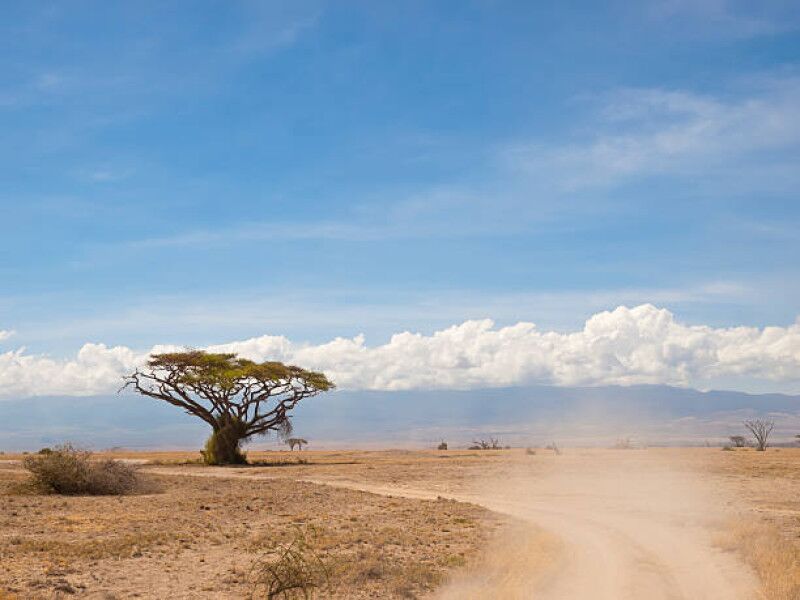 Trayecto en coche hasta tu alojamiento a las afueras de la Reserva Nacional de Masai Mara