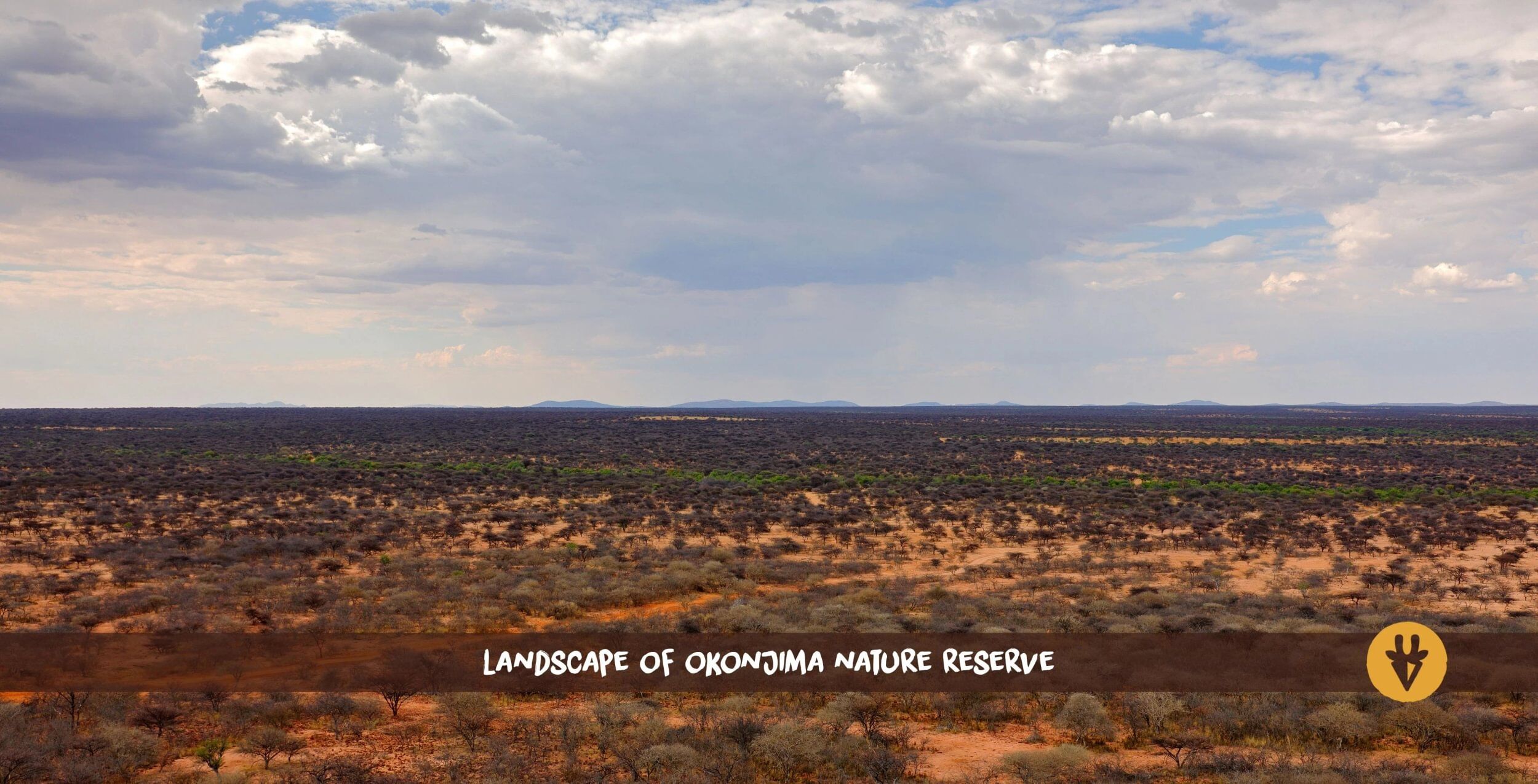 Vista aérea del paisaje de la Reserva Natural de Okonjima, Namibia, con arbustos y árboles