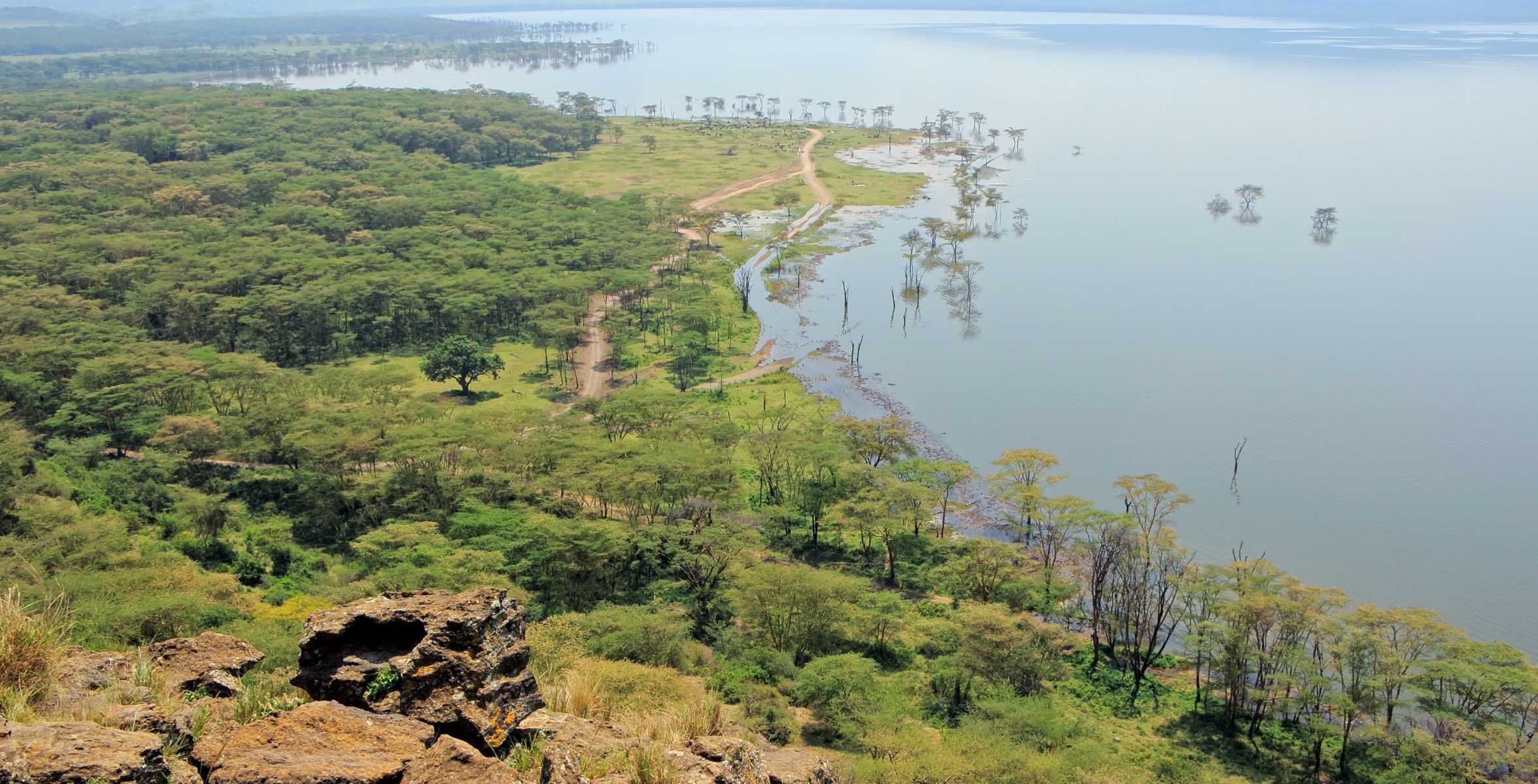 Trayecto de Solio Conservancy al Parque Nacional del Lago Nakuru
