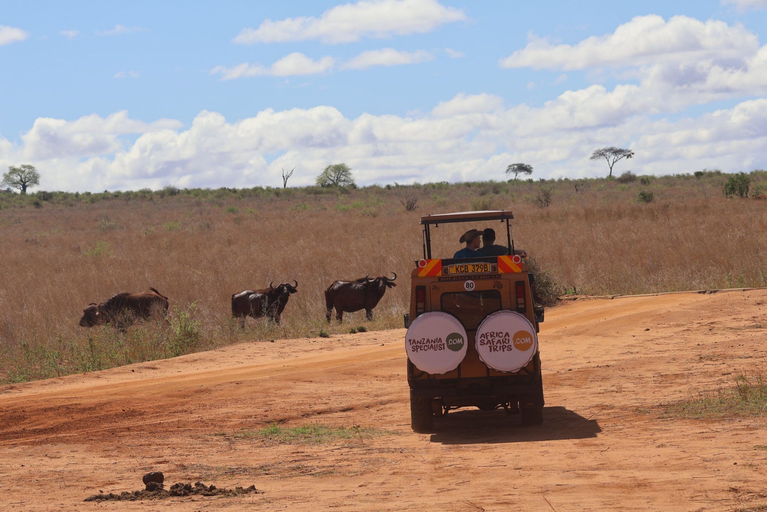 Trayecto desde el Parque Nacional Tsavo West hasta el de Tsavo East