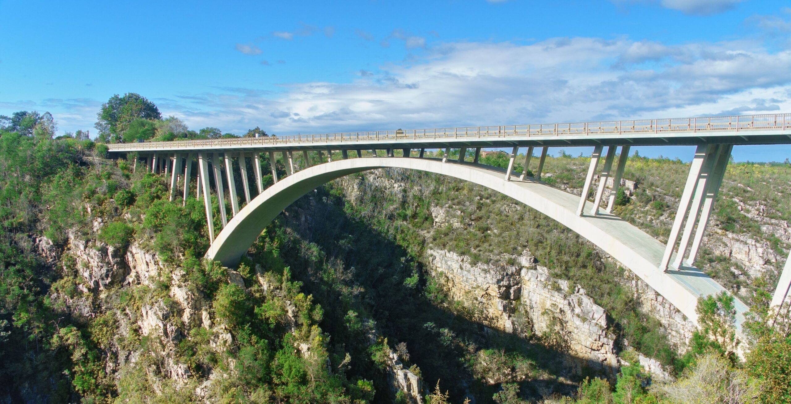 Trayecto de Plettenberg Bay a Tsitsikamma