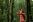 Tourist in Kibale Forest