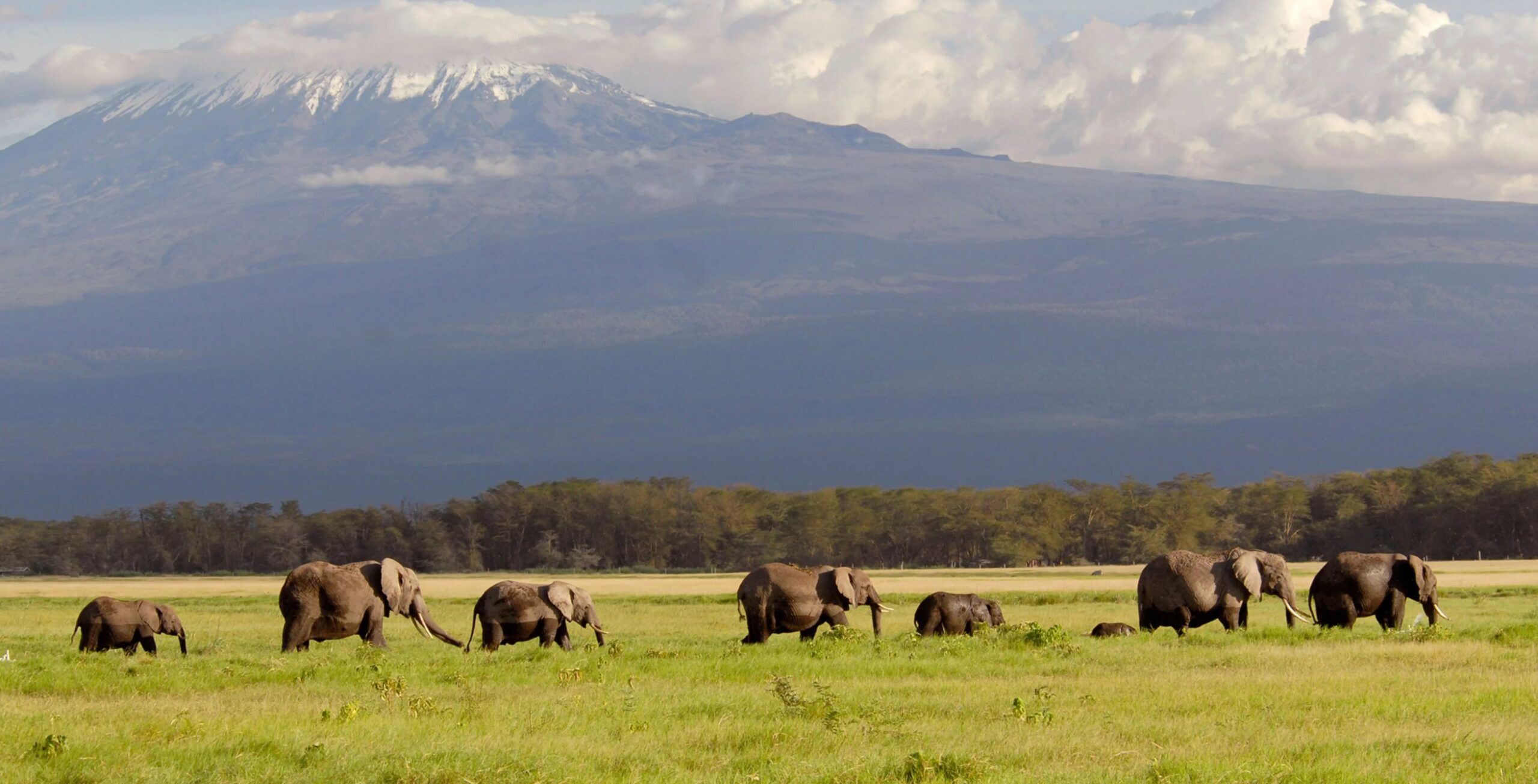 Parque Nacional de Amboseli