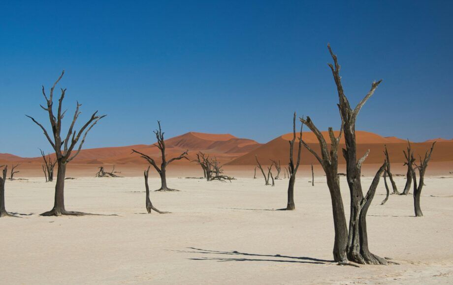 Sossusvlei en Namibia