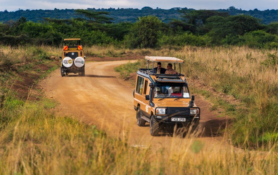 Jeep de safari