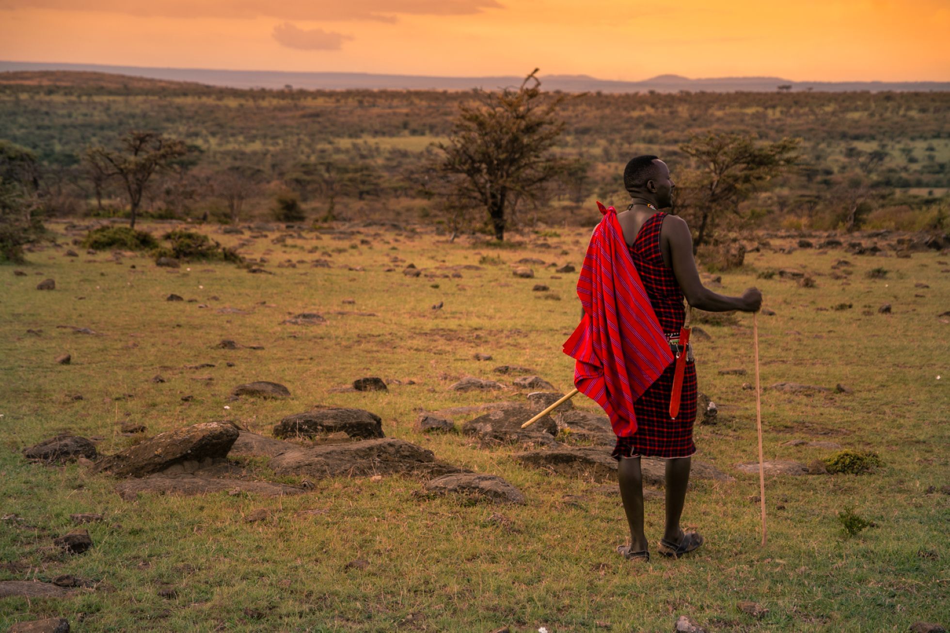 Safari a pie en Zebra Plains