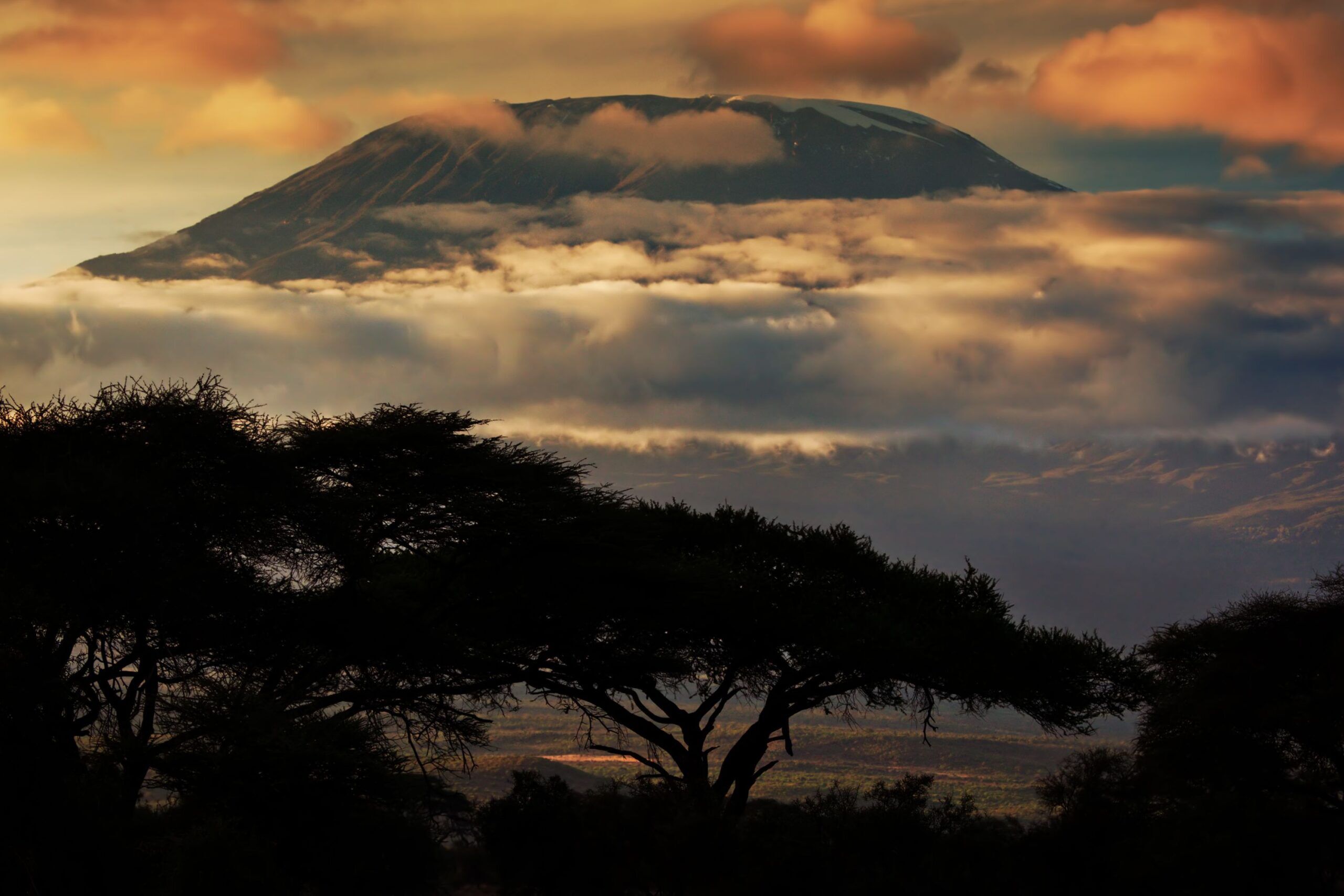 Vistas del monte Kilimanjaro