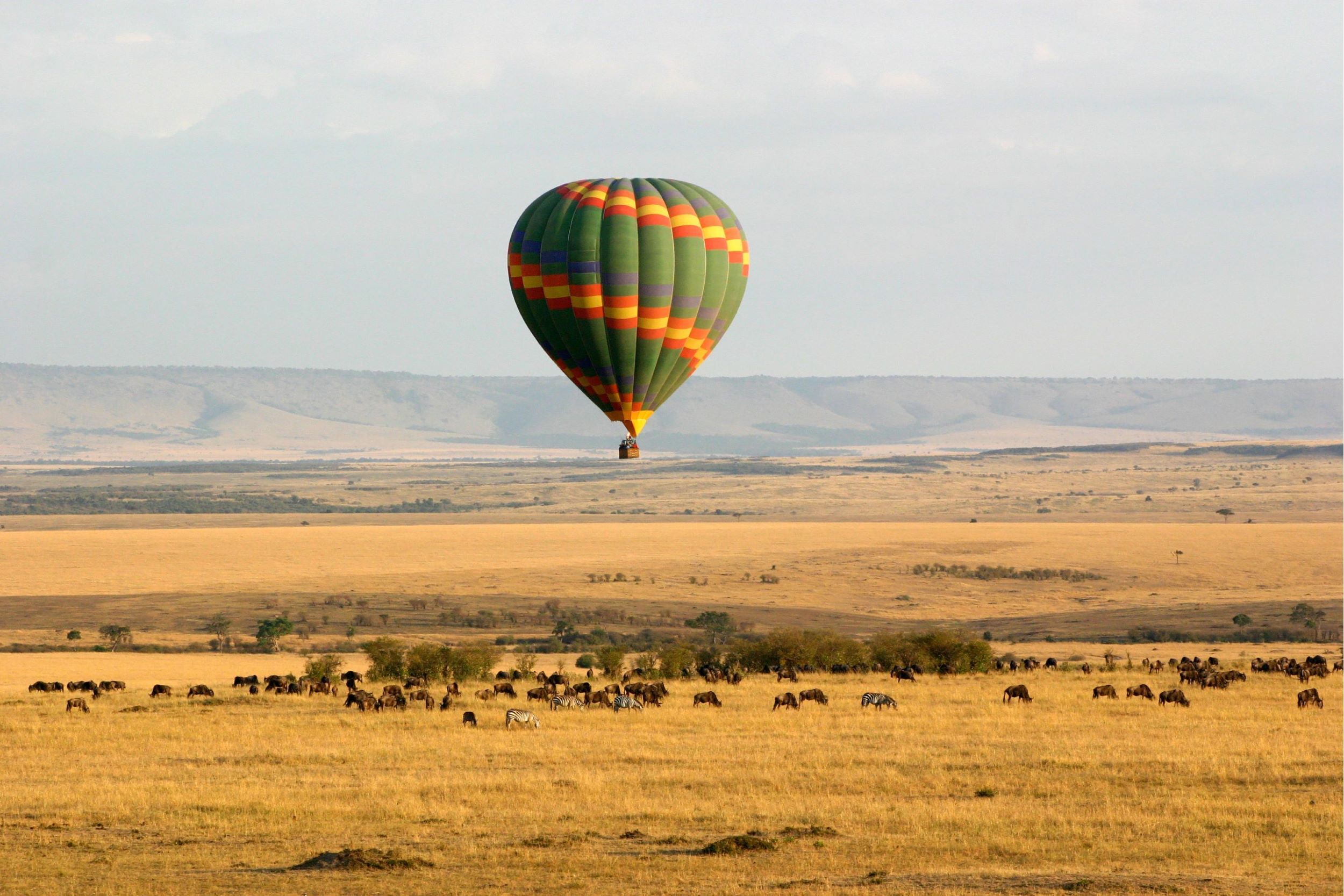 Safari en globo aerostático