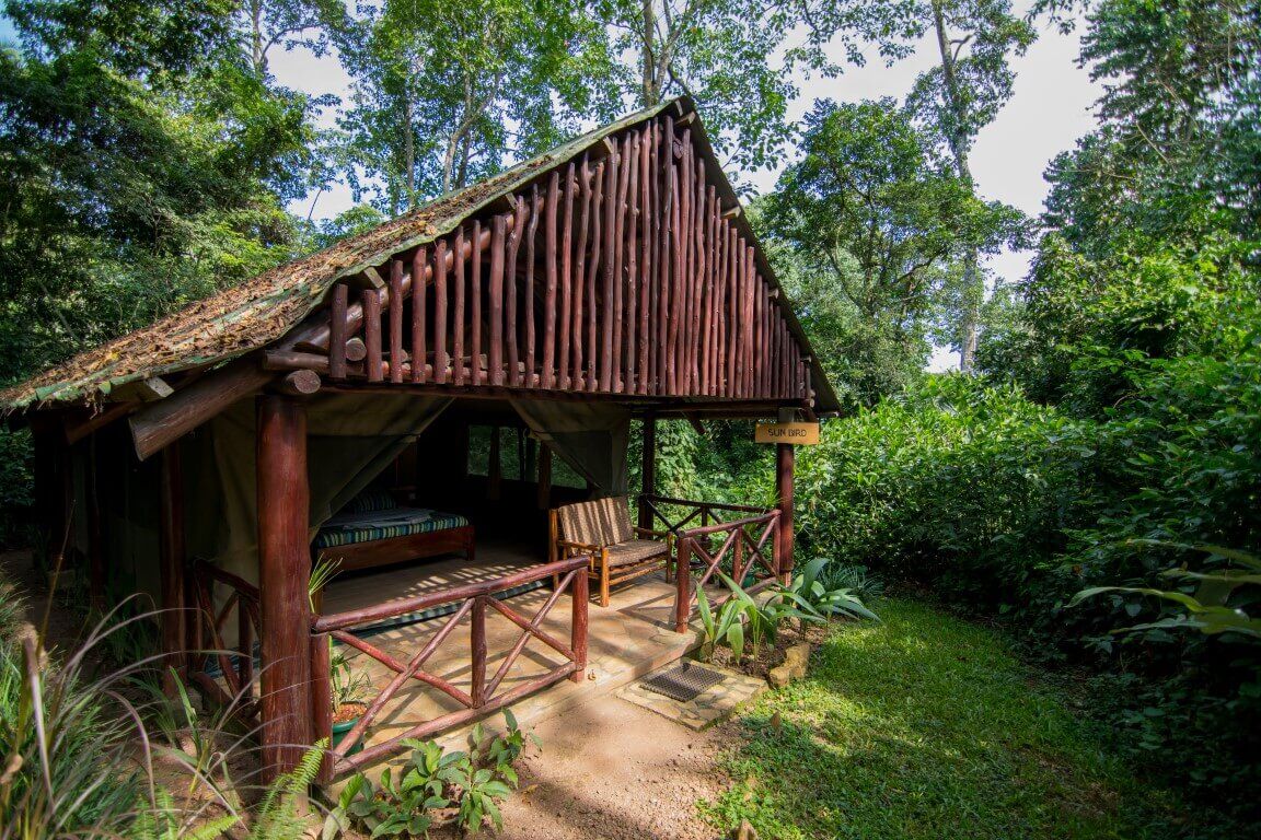 Kibale Forest Camp