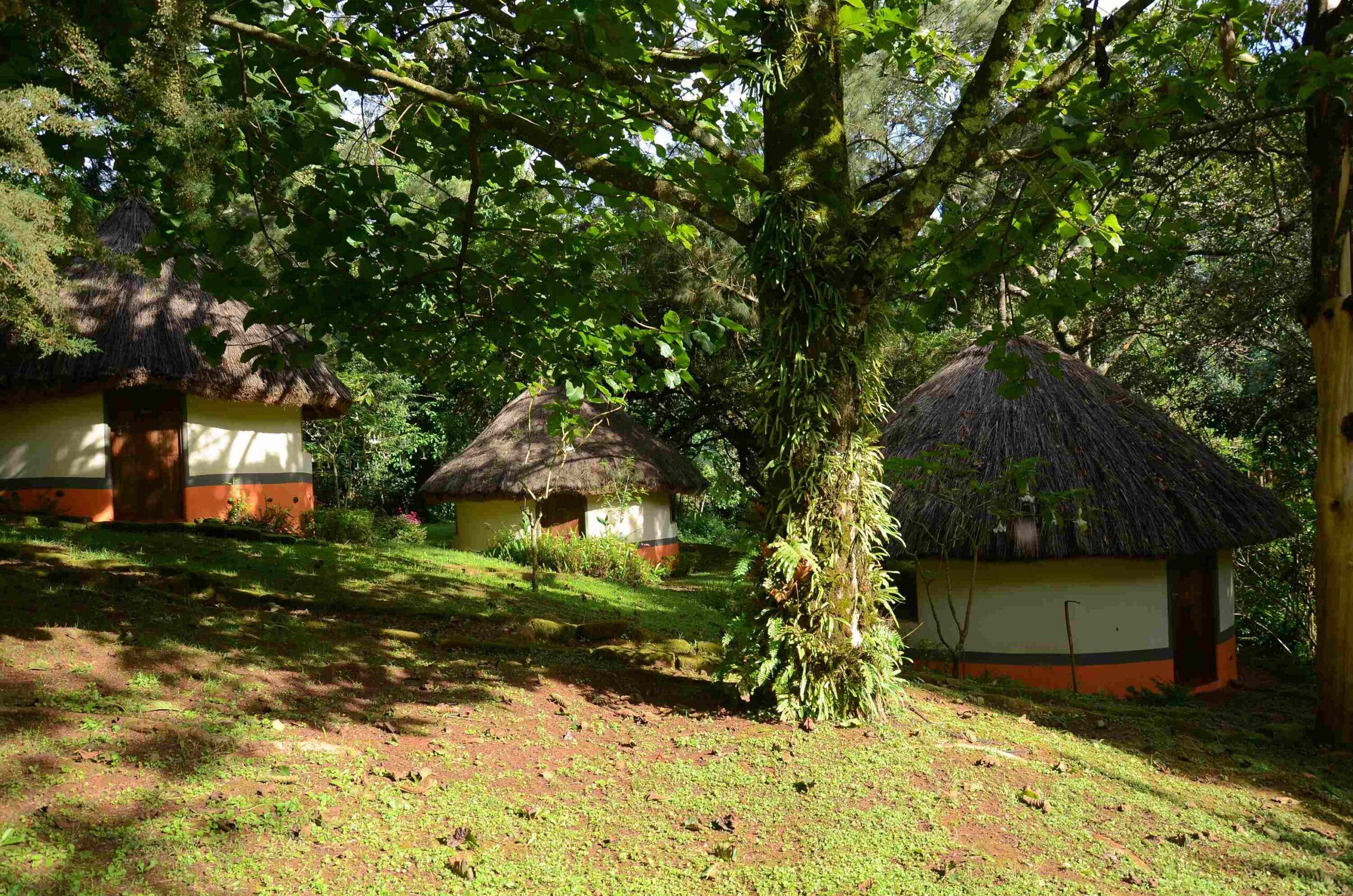 Sipi Heritage Lodge