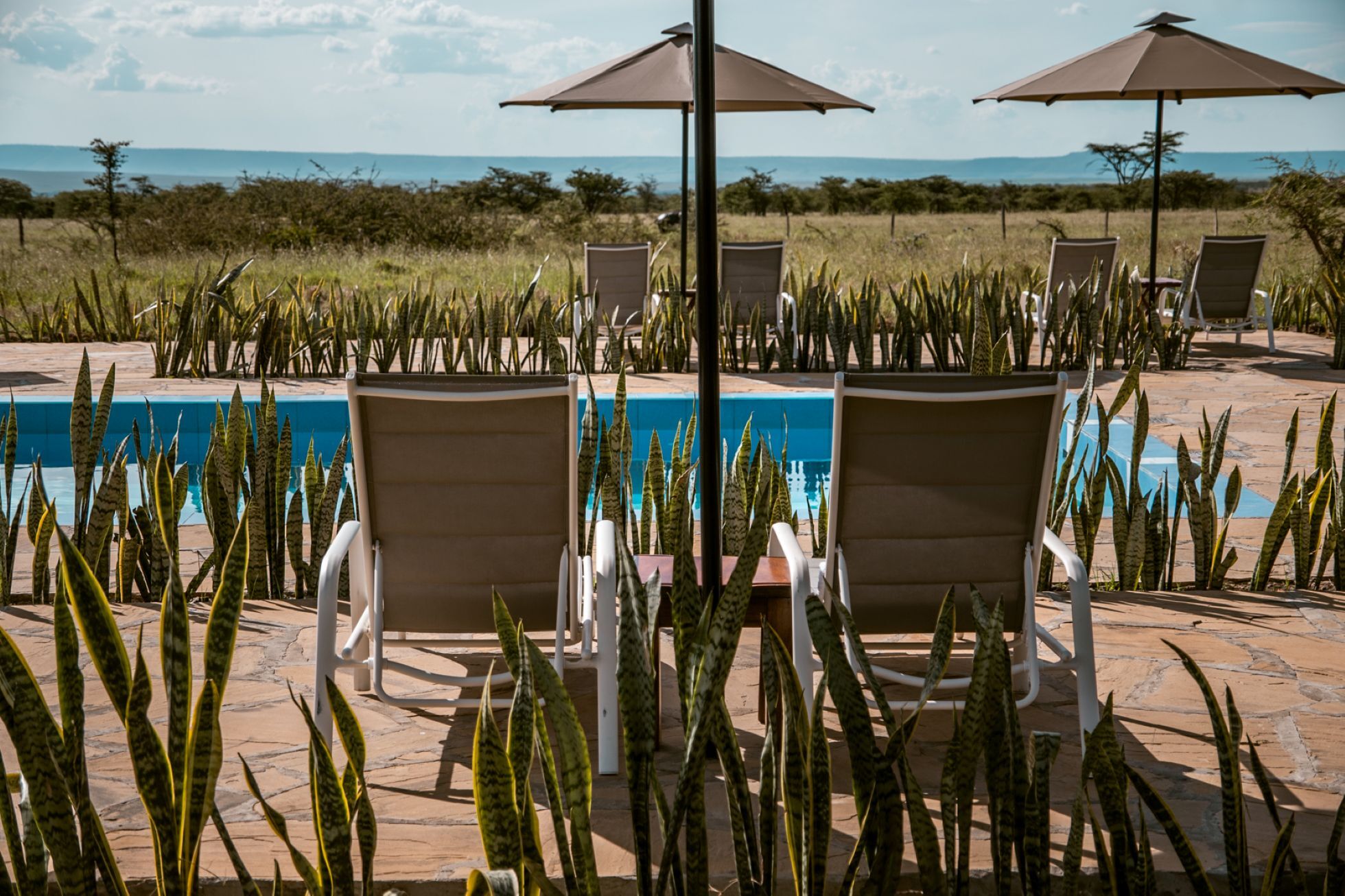Zebra Plains Mara Camp