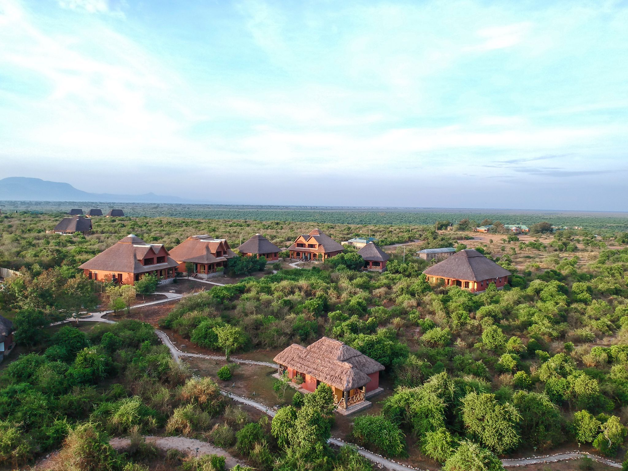 Buffalo Safari Lodge