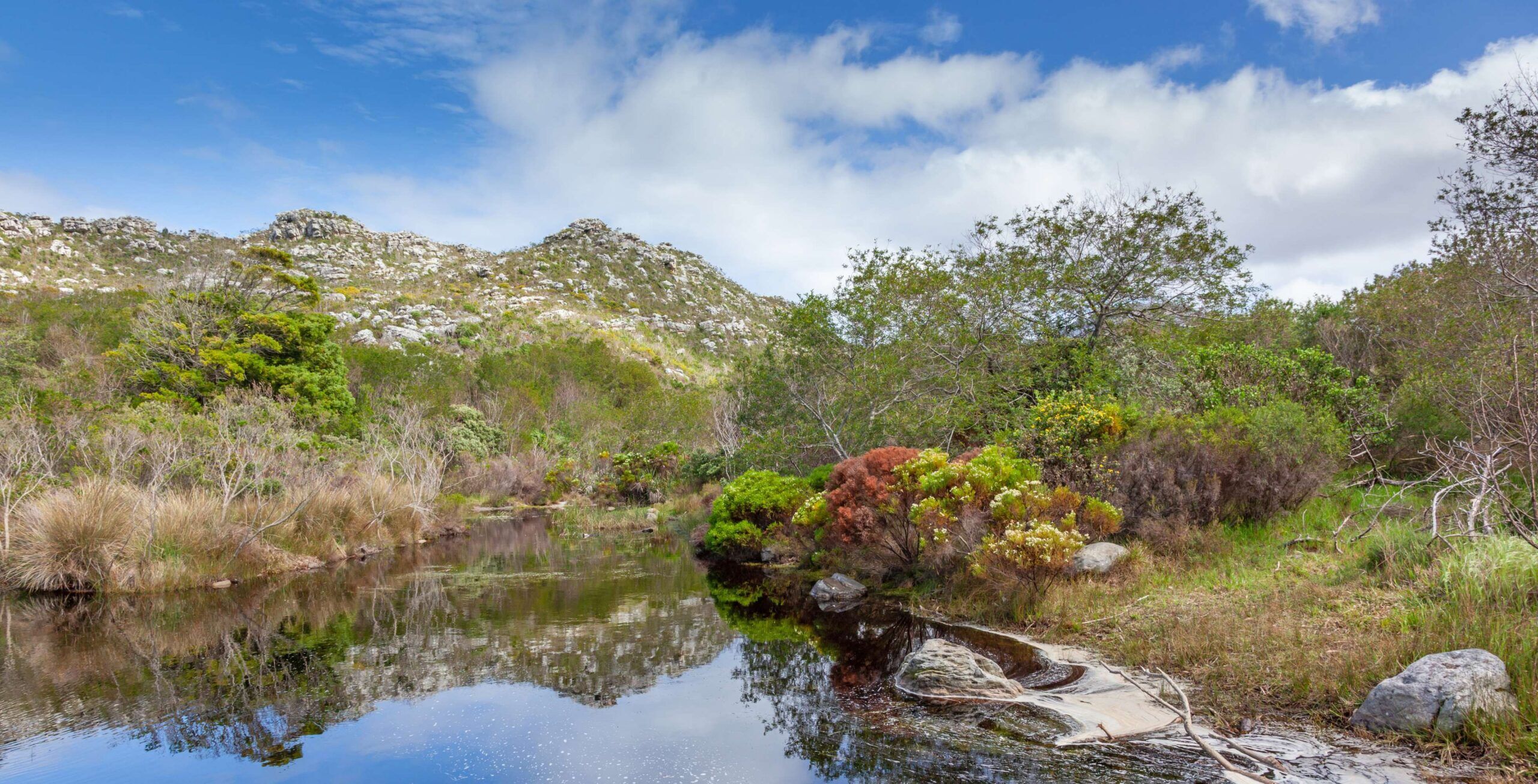 Visita montaña de la Mesa