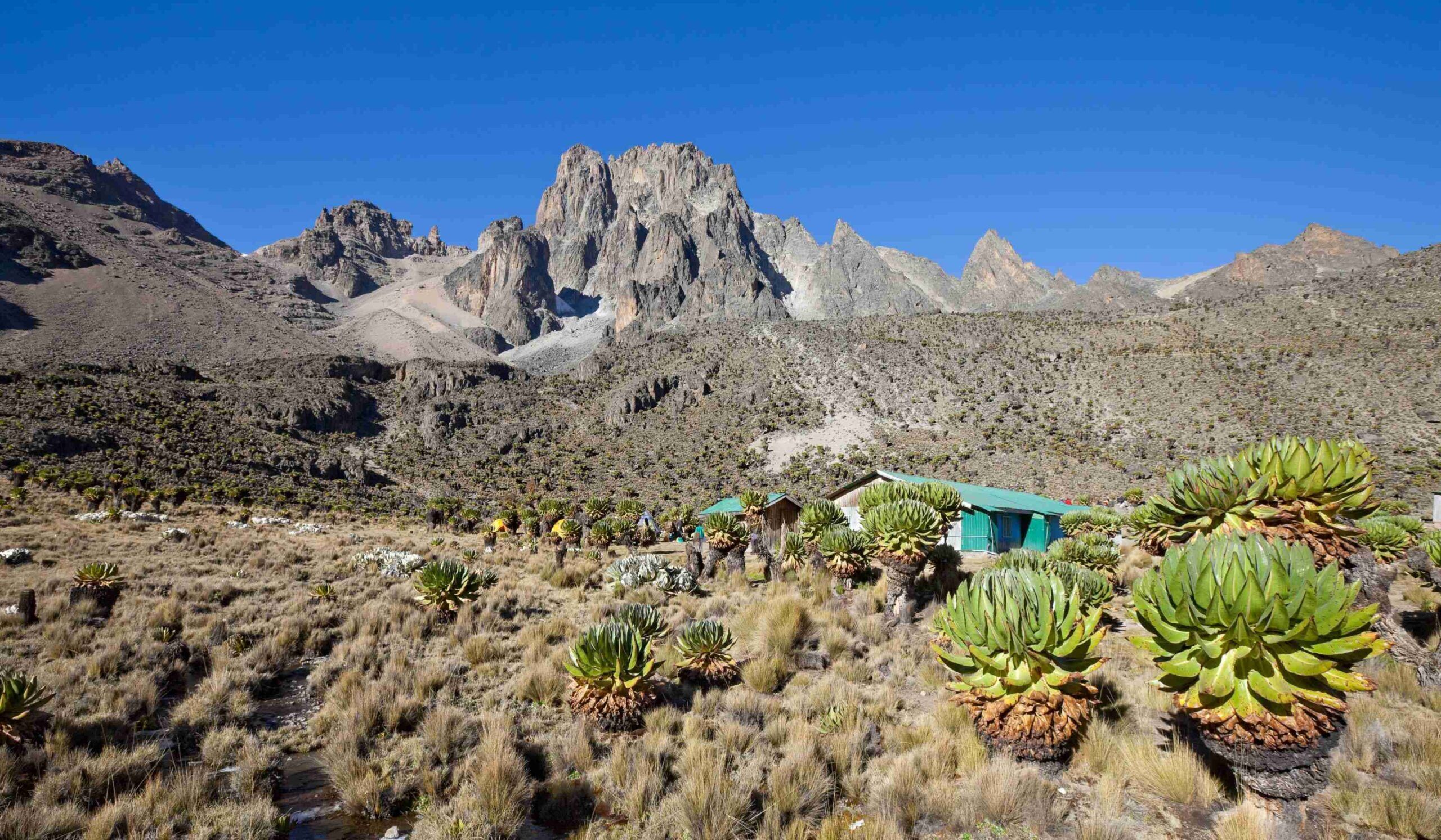 Monte Kenia por la Ruta Sirimon (3/5) | Día de aclimatación en Shipton's Camp (4200 m)