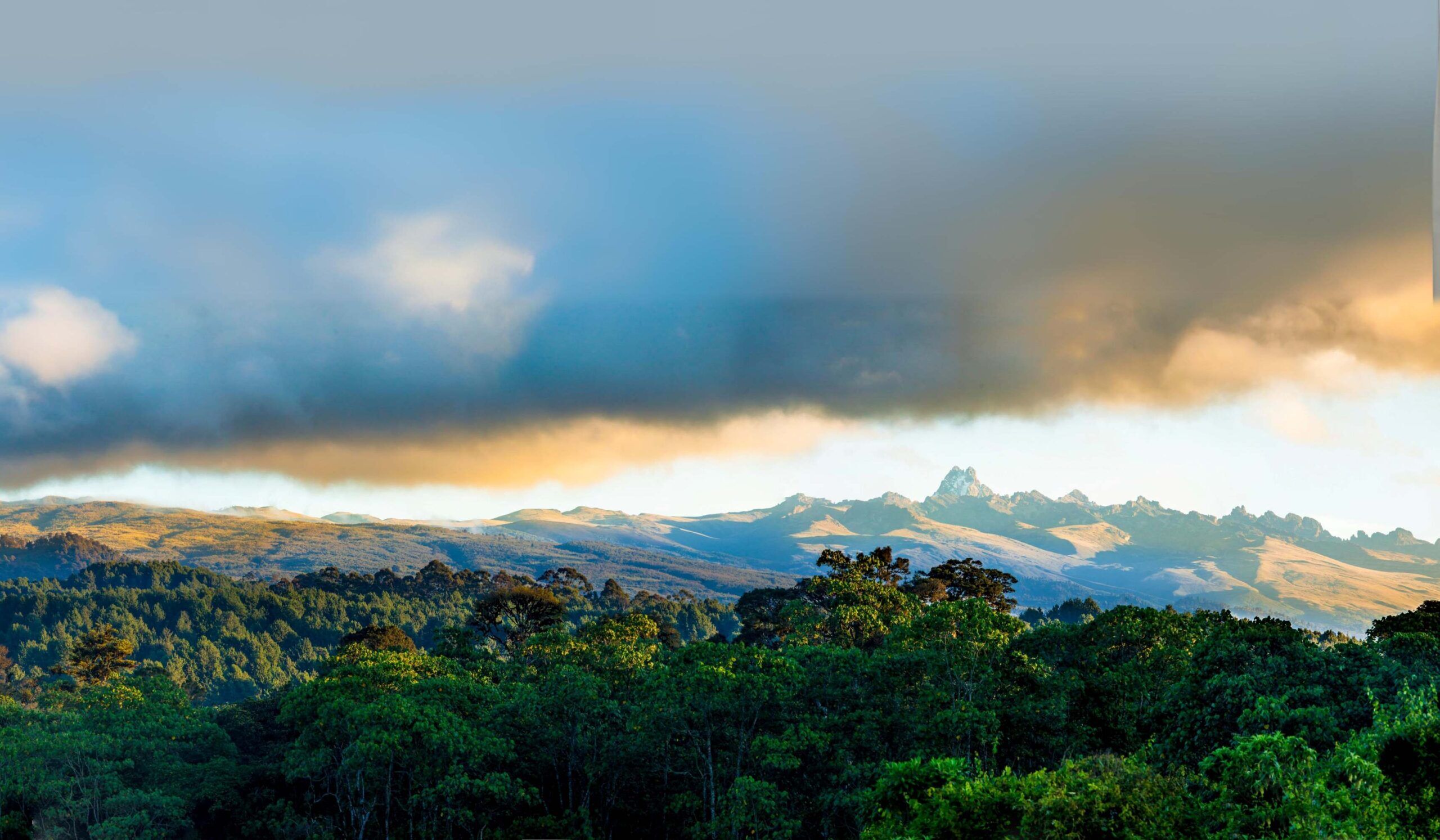Monte Kenia por la Ruta Sirimon (5/5) | Old Moses Camp (3340 m) - Sirimon Gate (2640 m) - Nanyuki