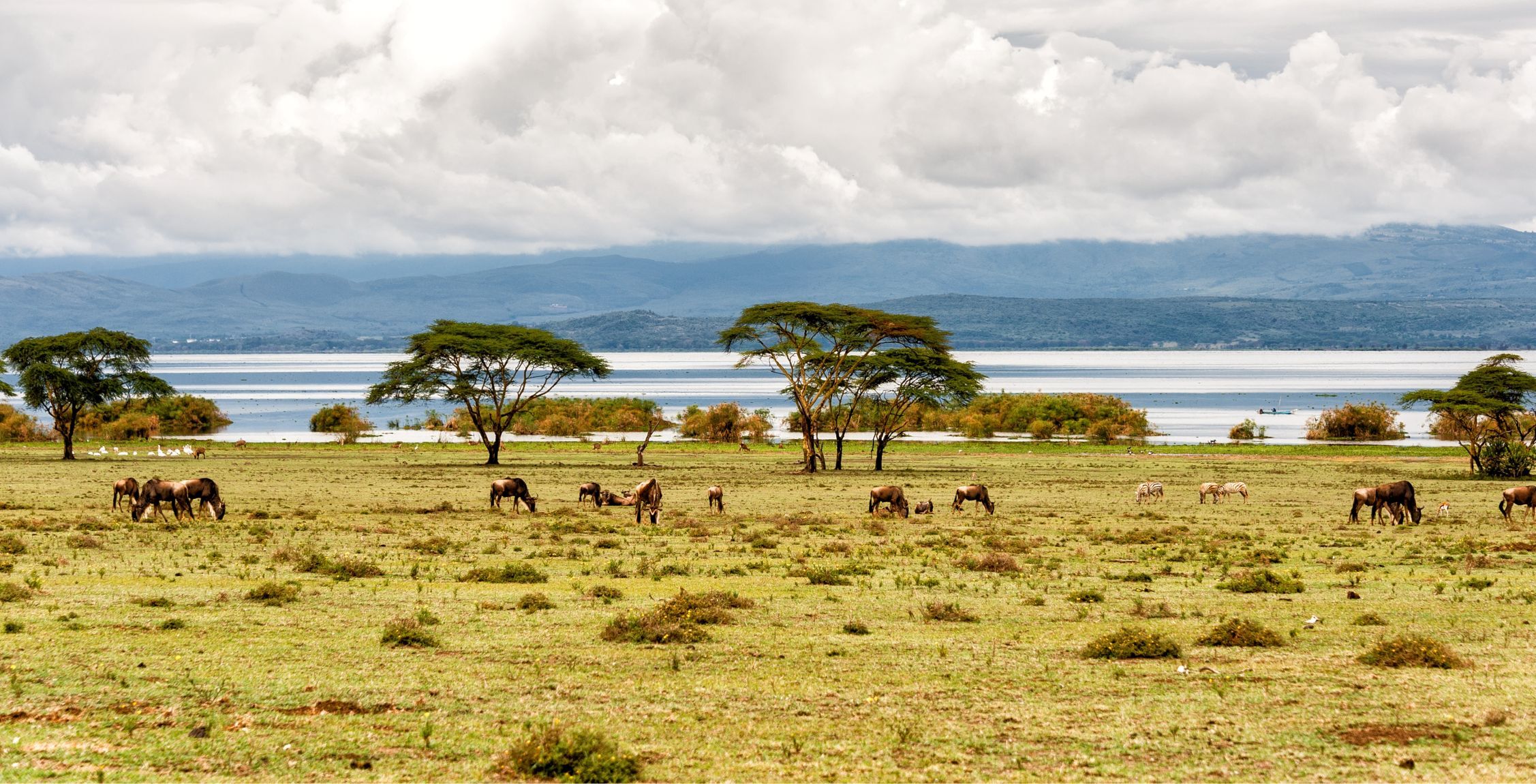 Trayecto de la Reserva Nacional Masai Mara al lago Naivasha