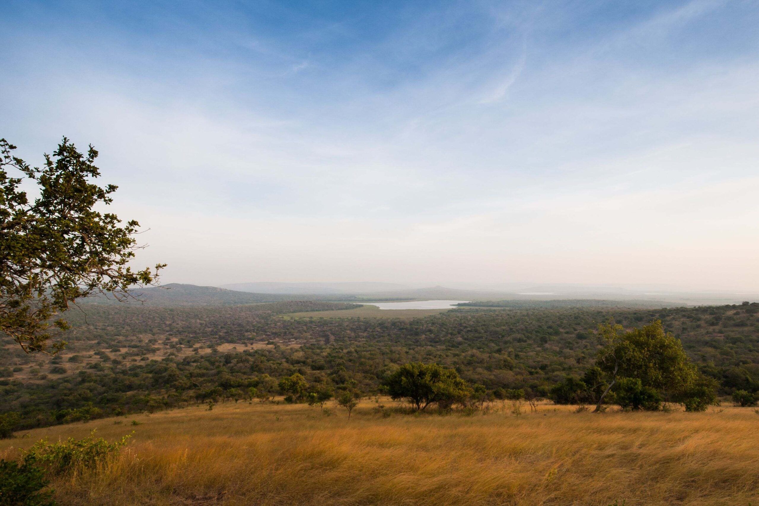 Trayecto desde el Parque Nacional de la Selva Impenetrable de Bwindi hasta el Parque Nacional del Lago Mburo
