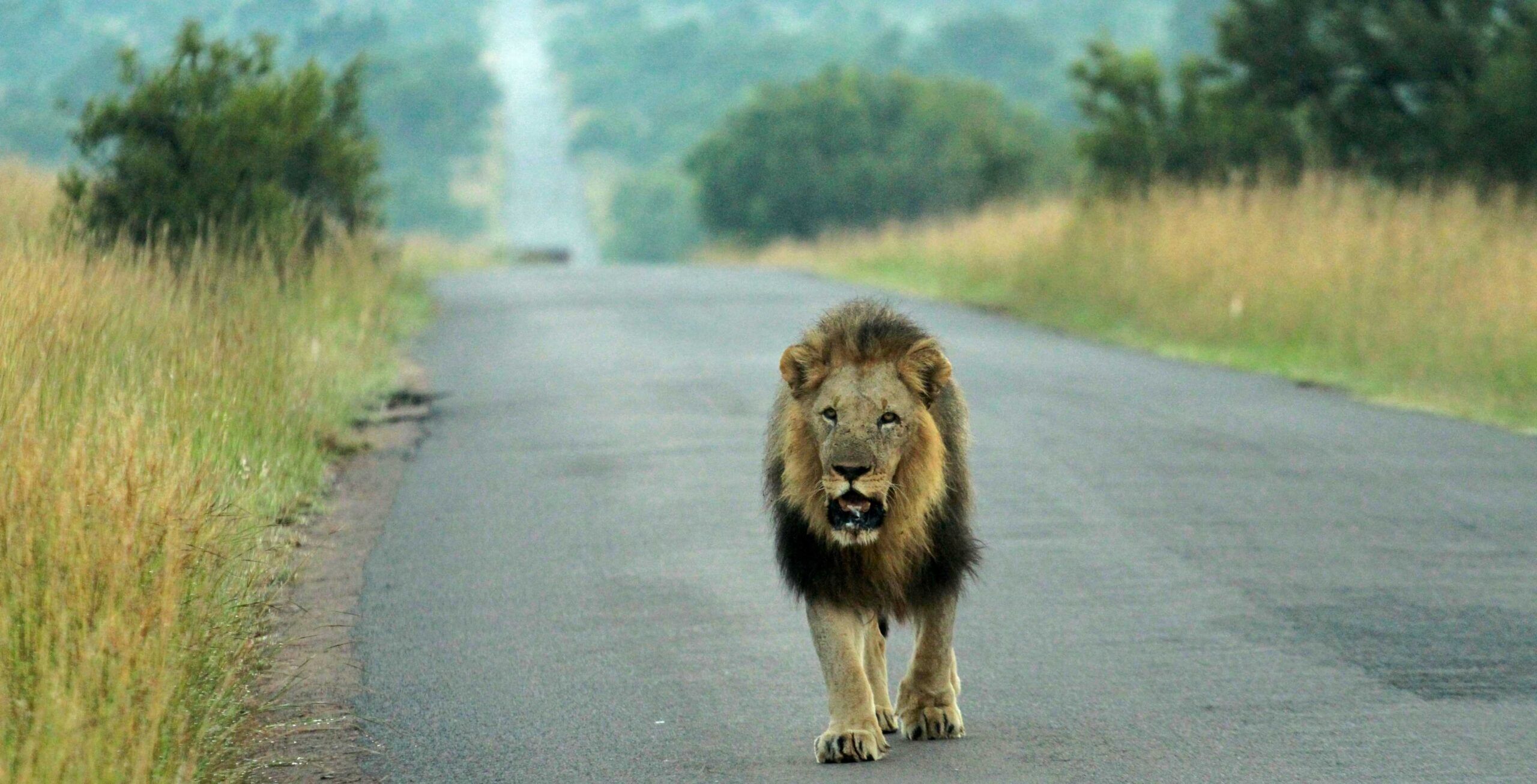 Trayecto de Tshwane (Pretoria) a Pilanesberg